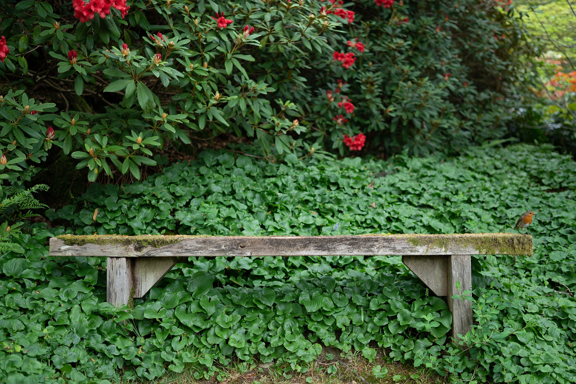 The Seat of Stillness