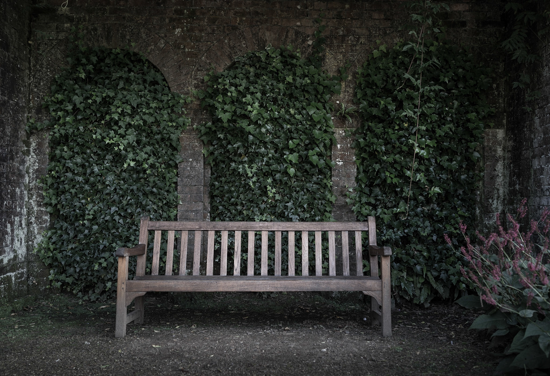 The Seat of Stillness