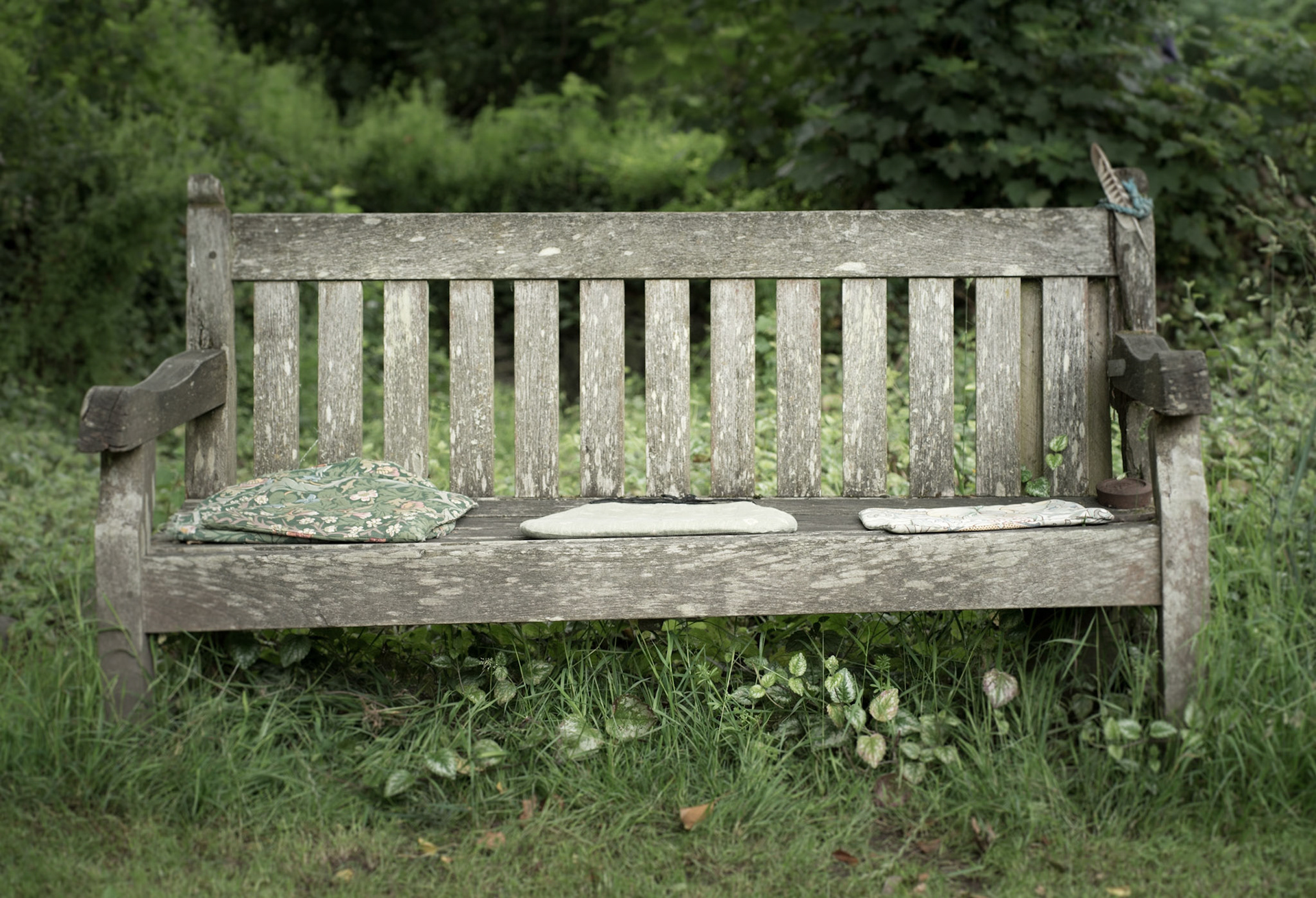 The Seat of Stillness