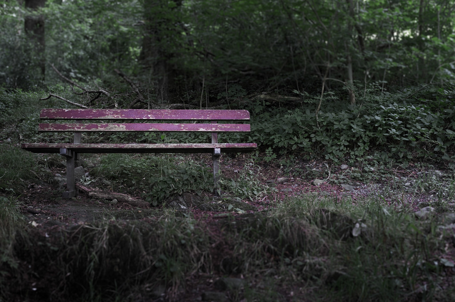 The Seat of Stillness