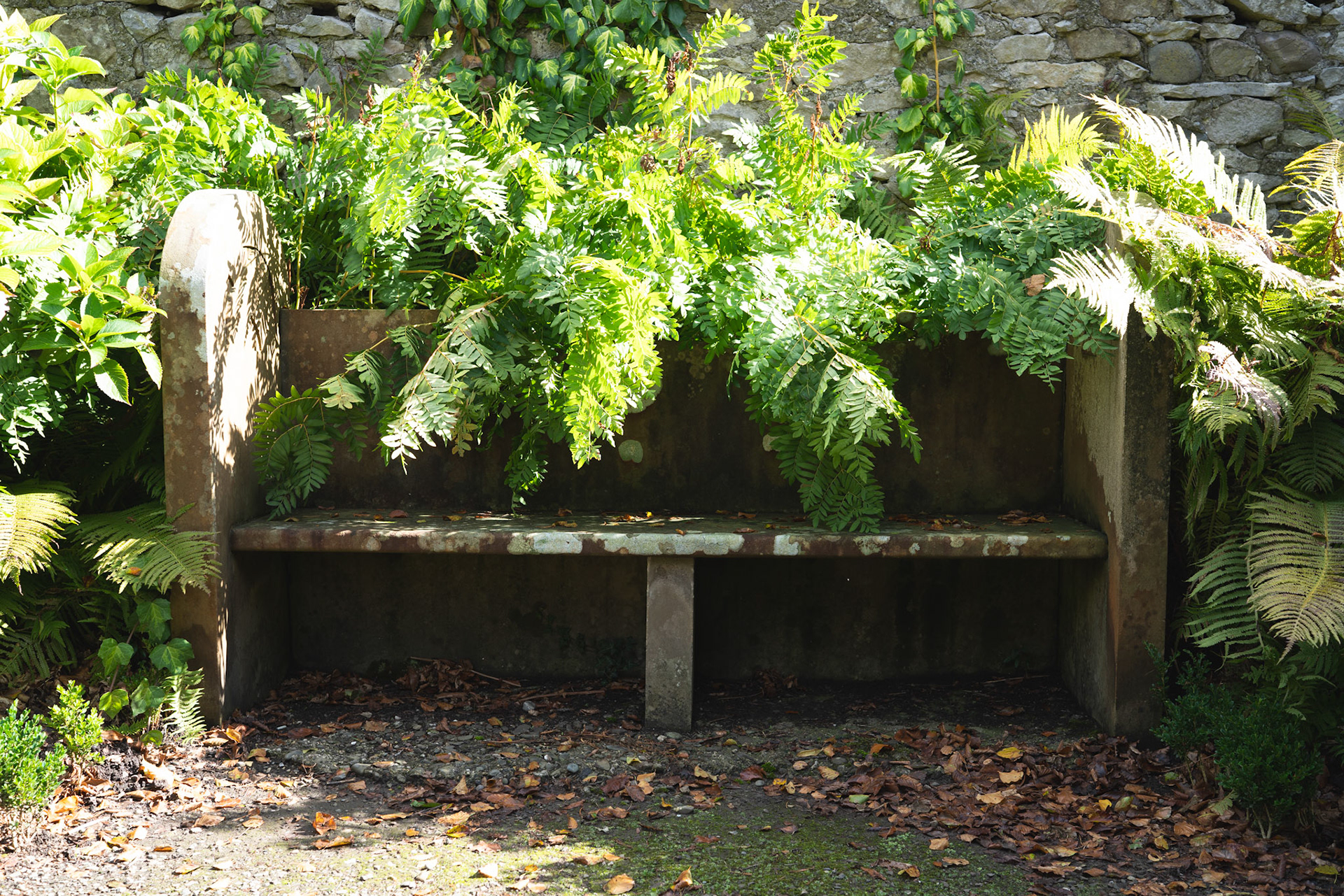 The Seat of Stillness