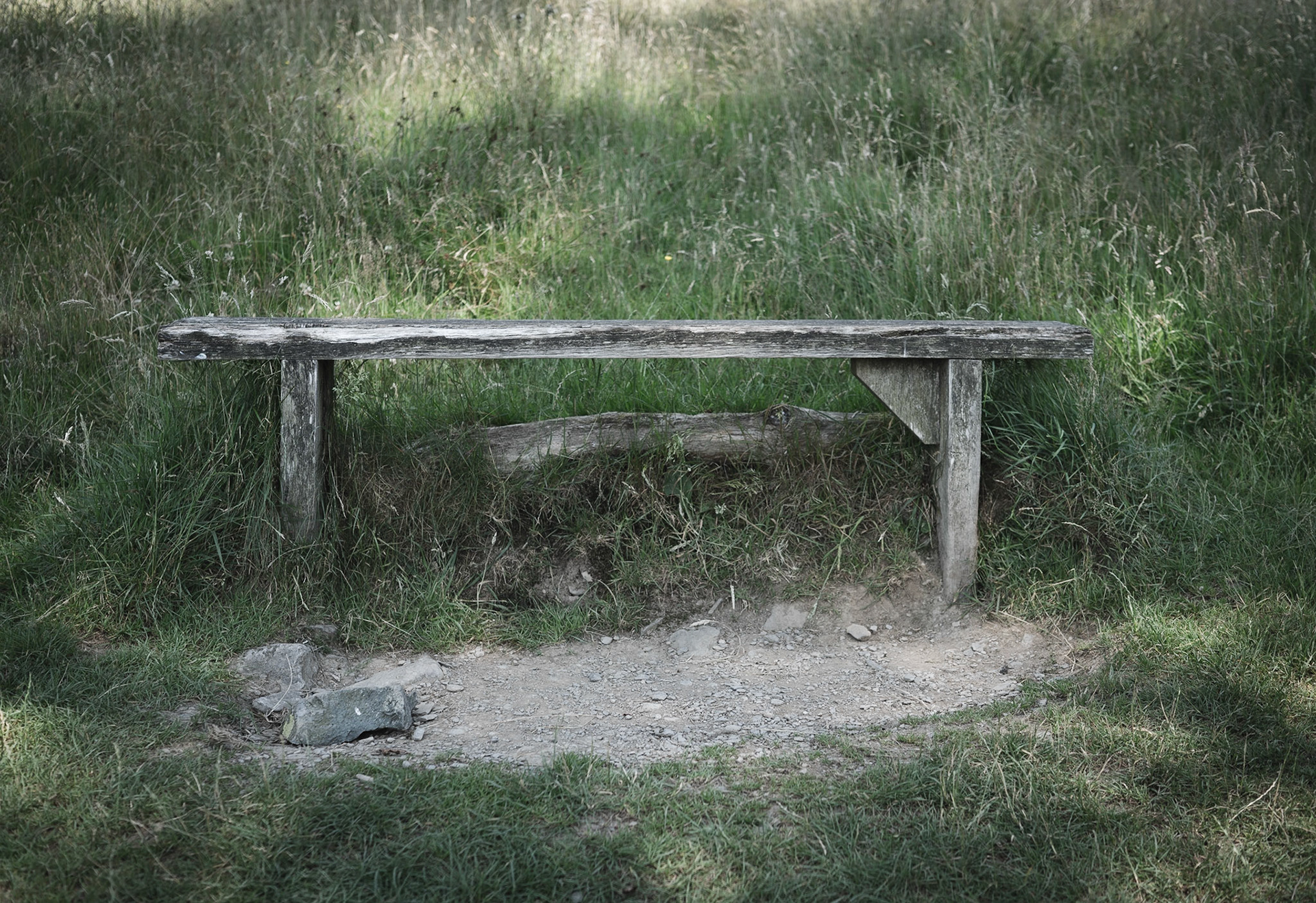 The Seat of Stillness