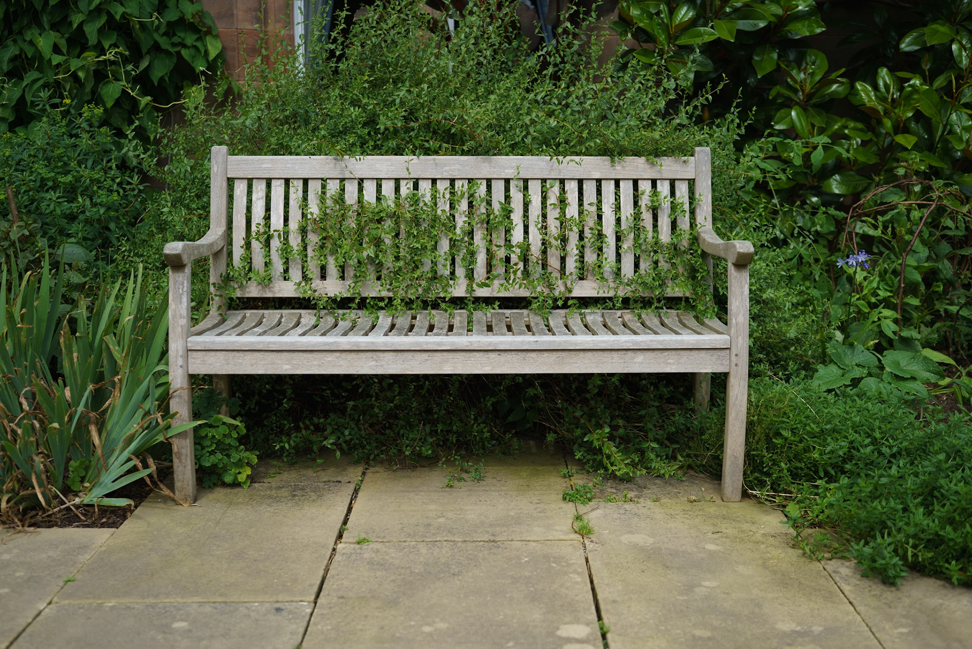 The Seat of Stillness