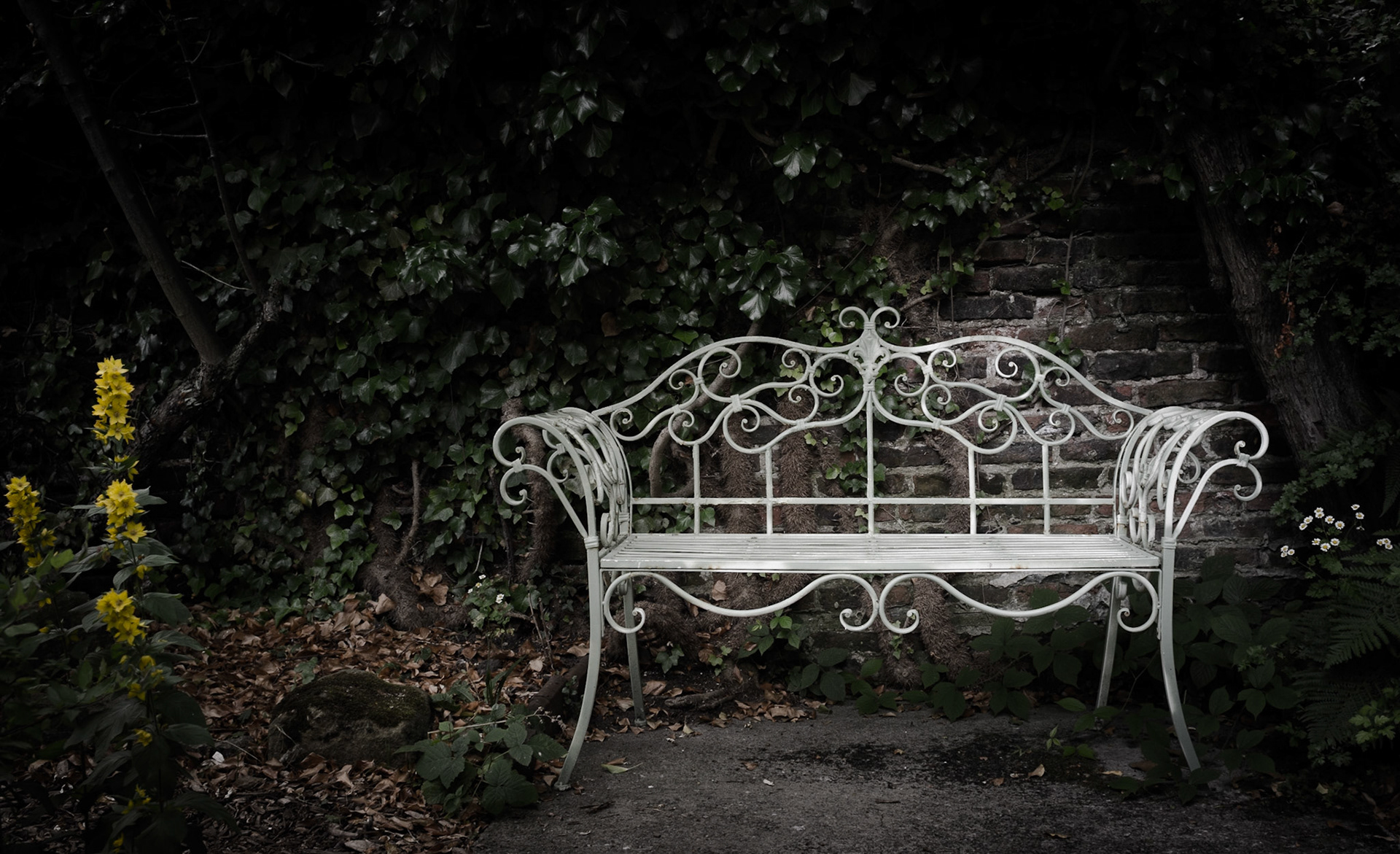 The Seat of Stillness