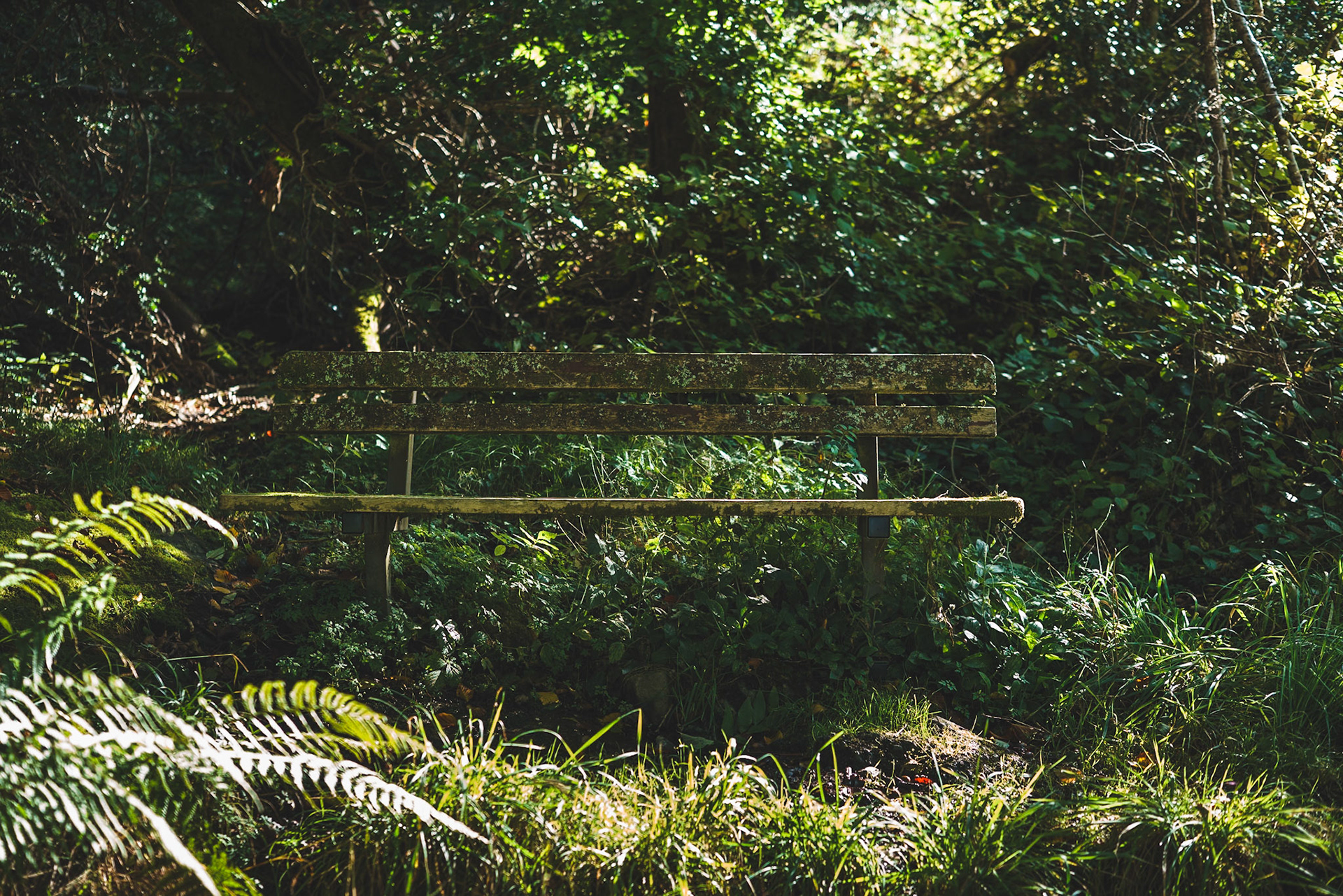 The Seat of Stillness