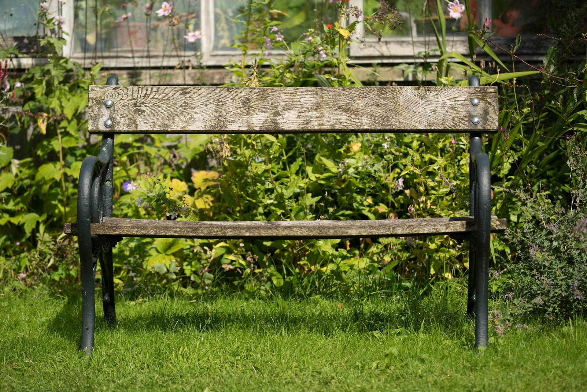 The Seat of Stillness