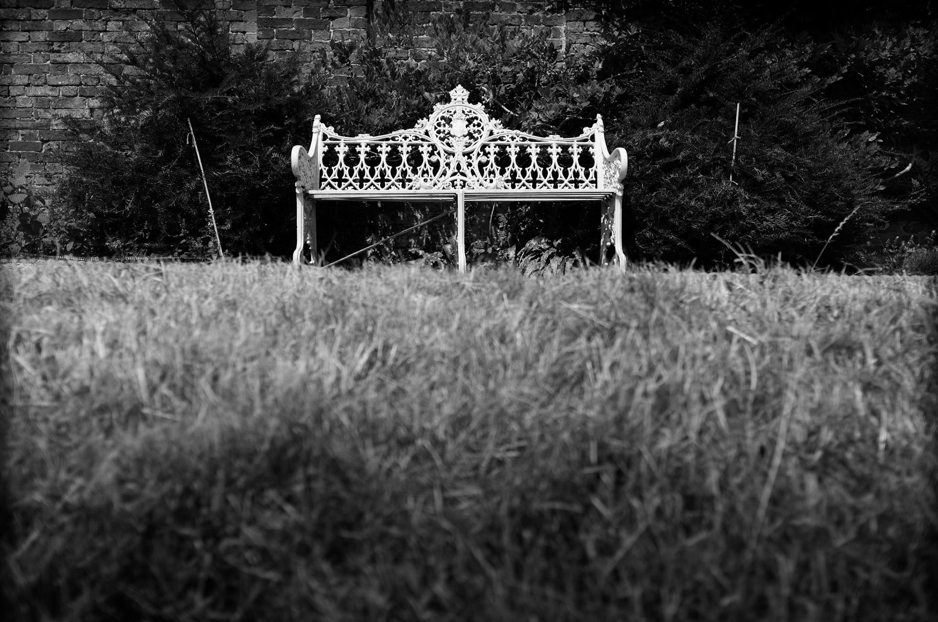 The Seat of Stillness