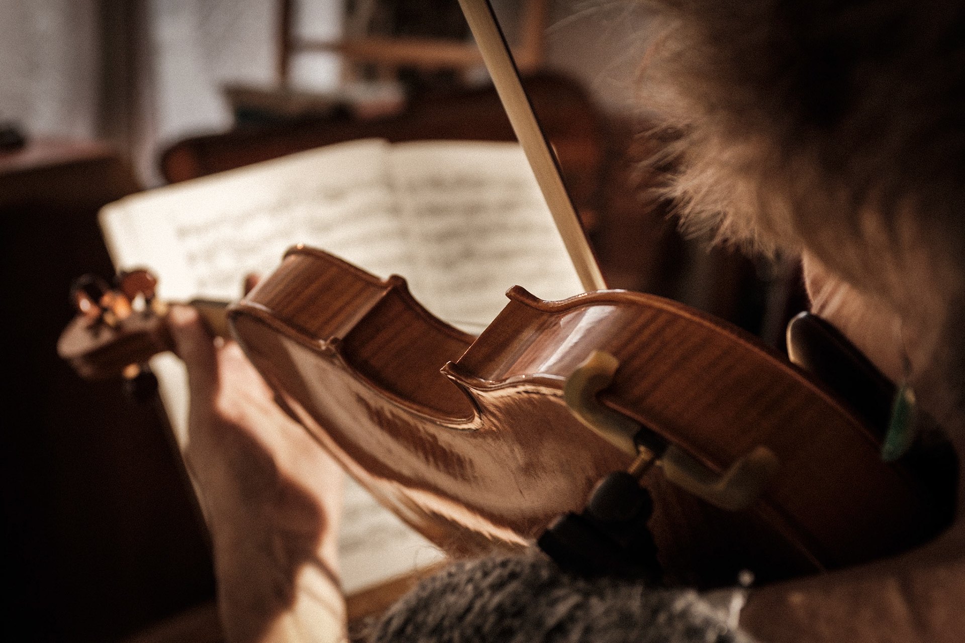 Violin restorer