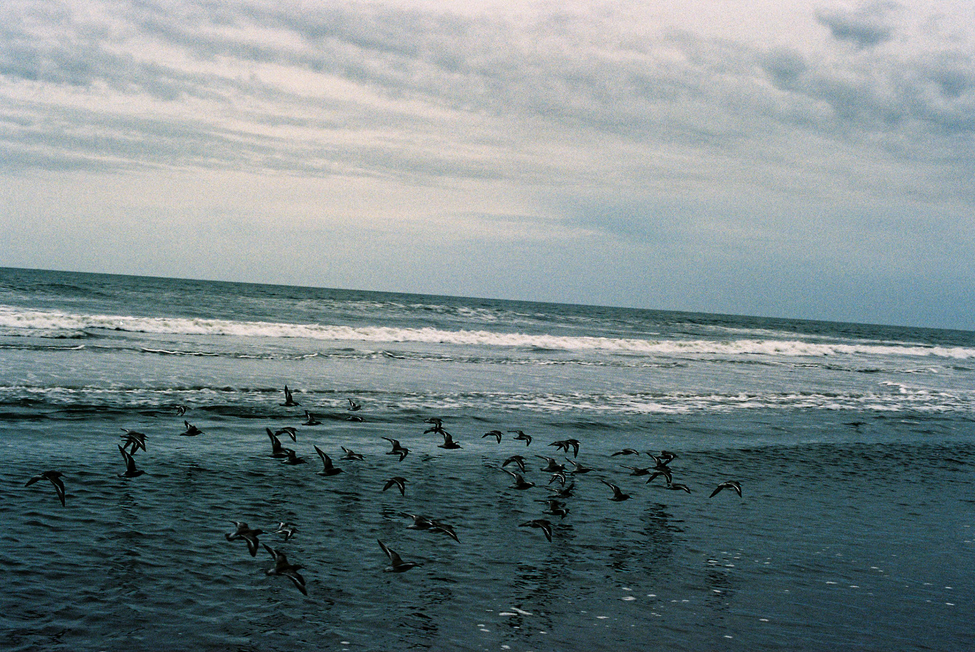 Jersey Shore September 2020 / Nikon FE2 - Fuji Superia400