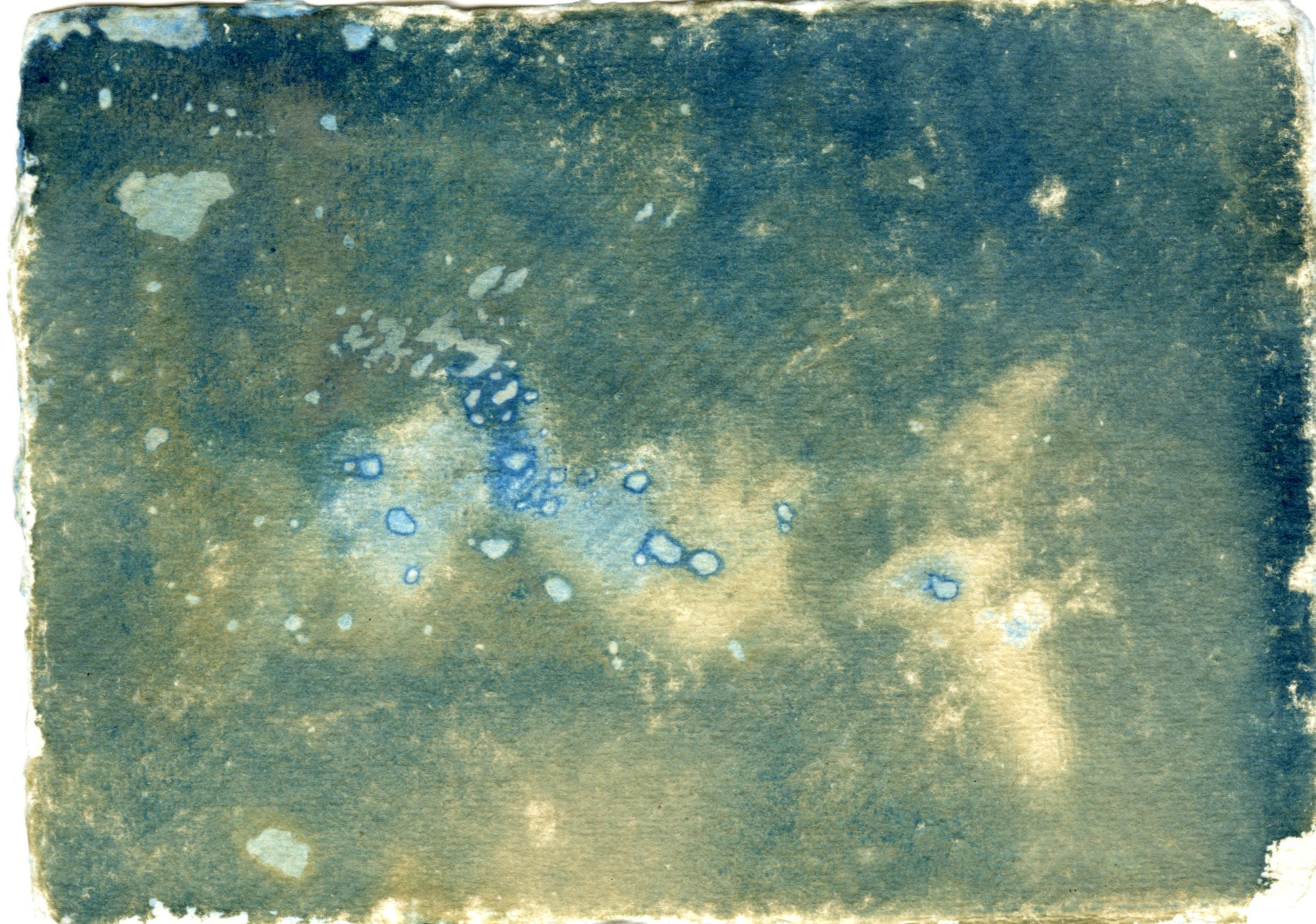 Cyanotype print made with materials scavenged off the beach and developed in seawater