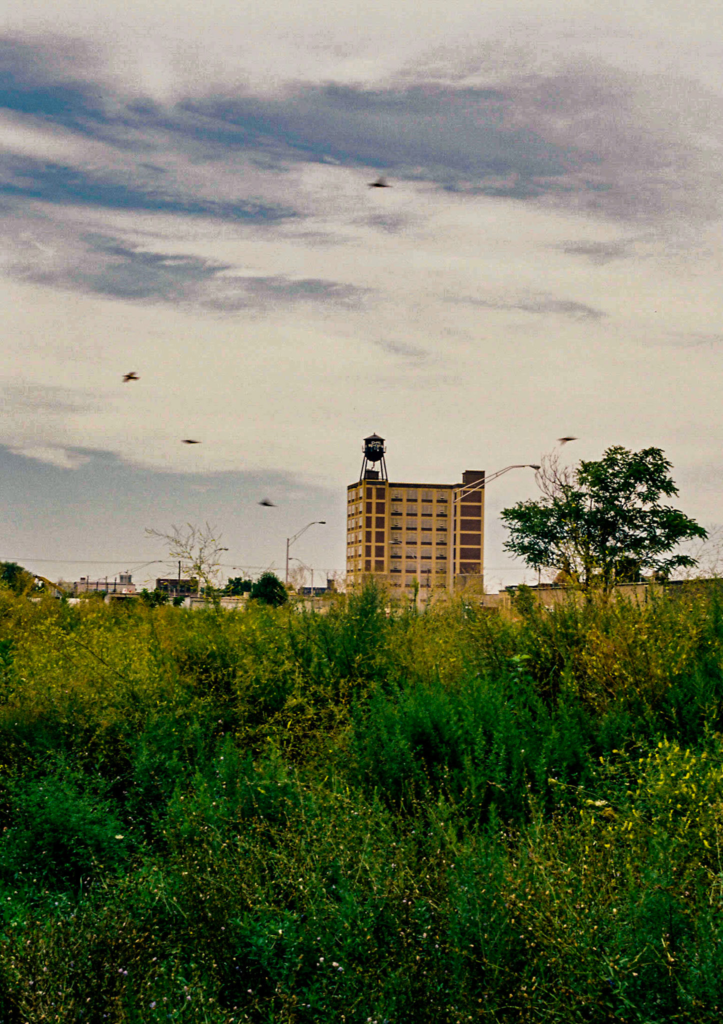 North Philly