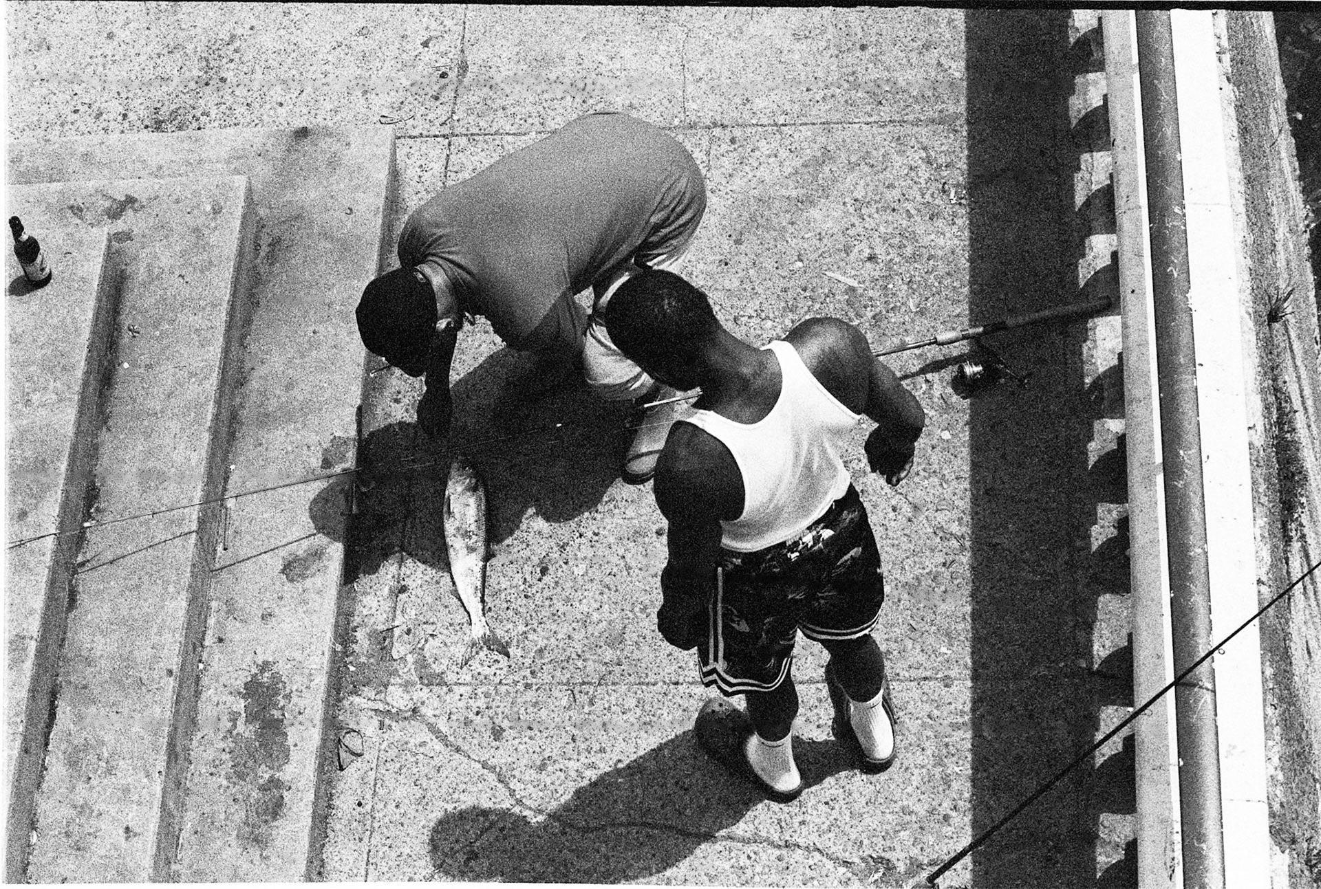 Alienation and Connection