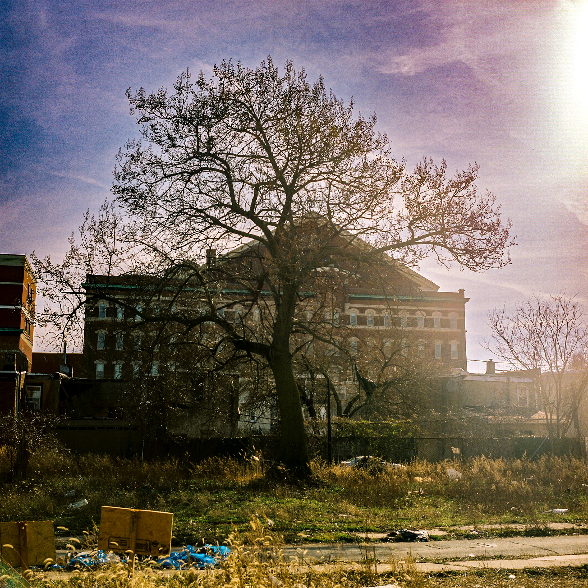 Girard College - Image Capture: Kodak Portra400 120mm Film - Yashica D 85mm f/3.5 lens- Exposure not recorded- Developed and digitized by Indie Photo Lab.
