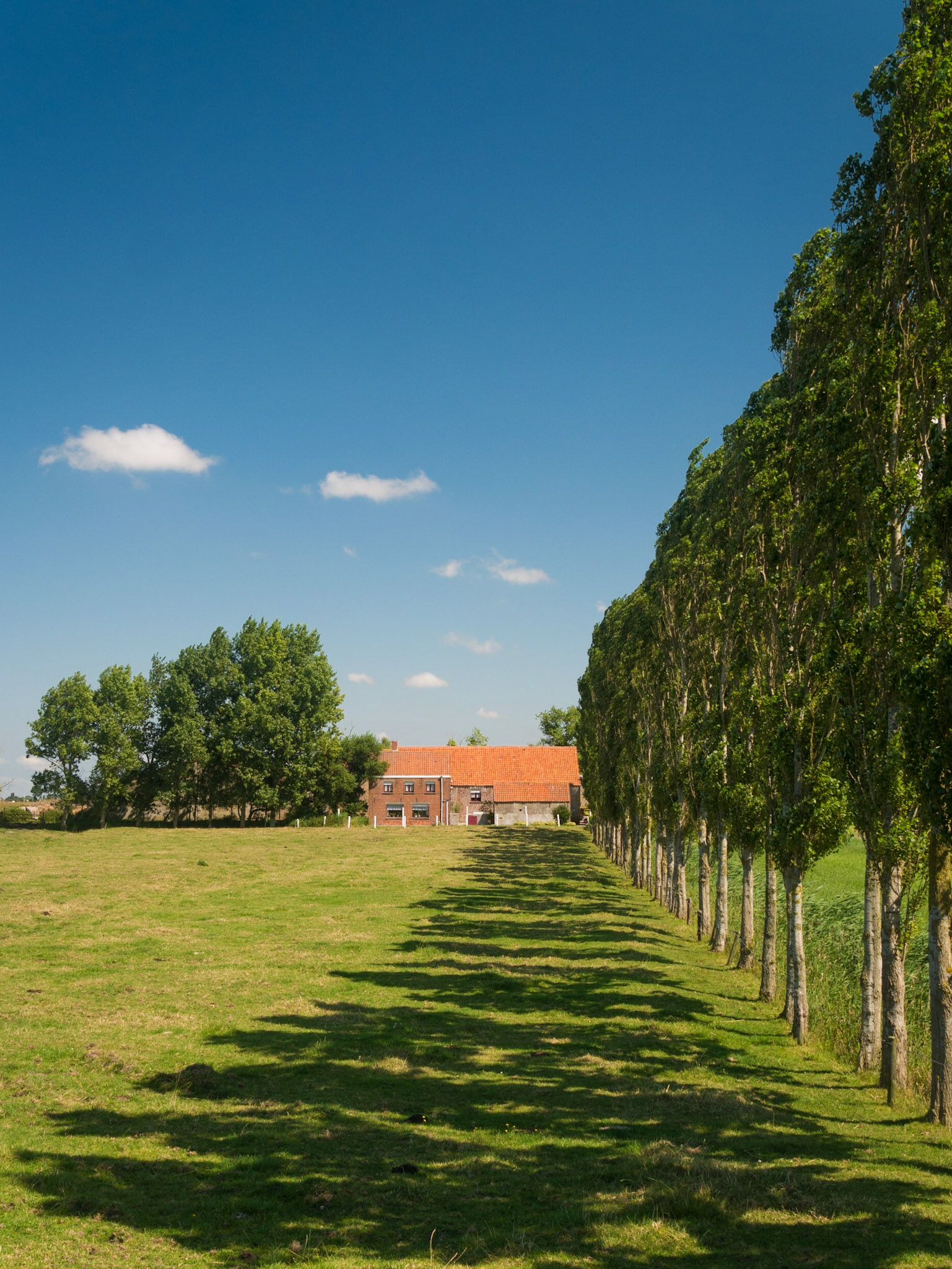 Baumallee nahe Blankenberge auf einer Wanderung