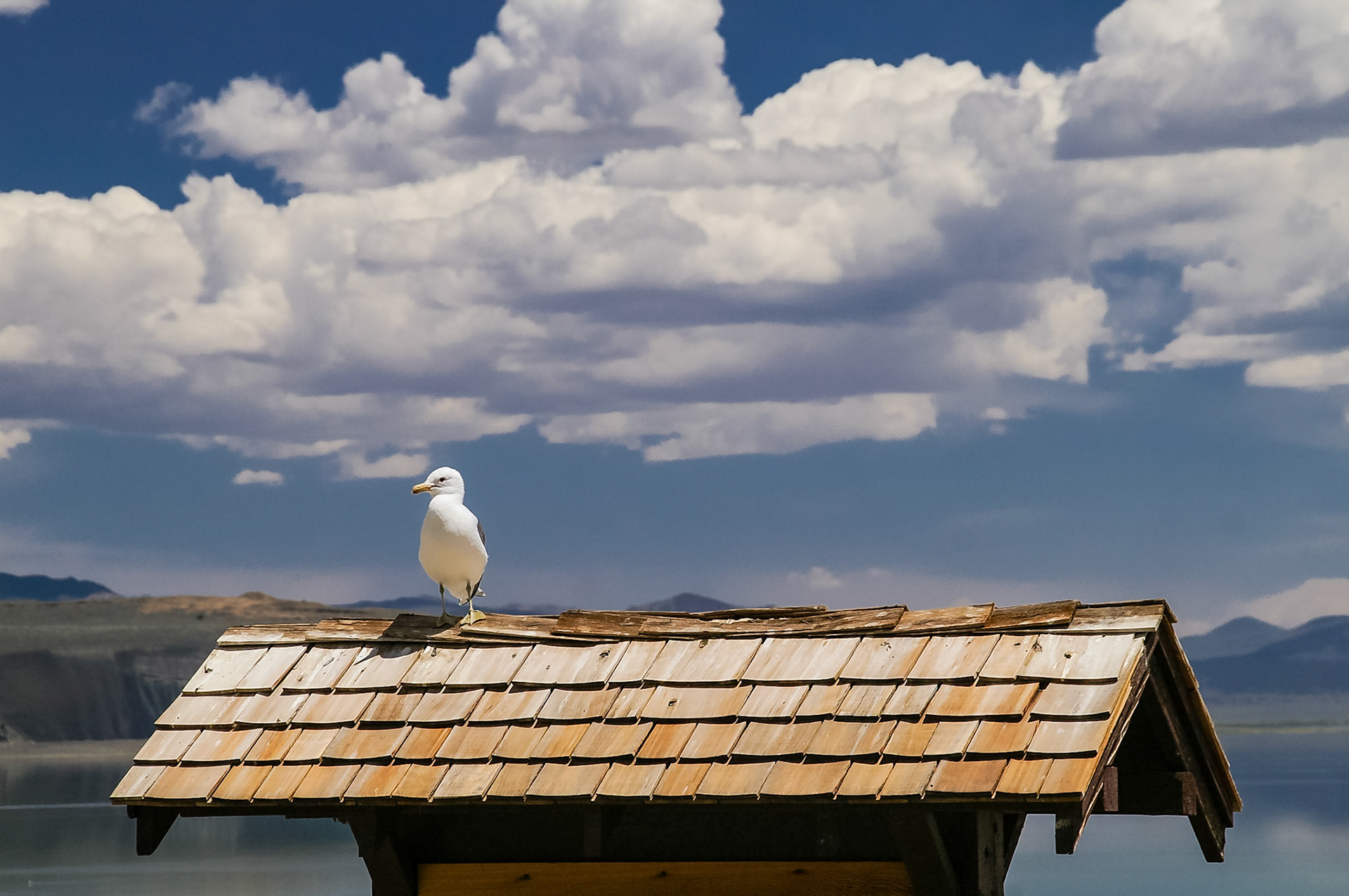 Am Ufer des Mono Lake