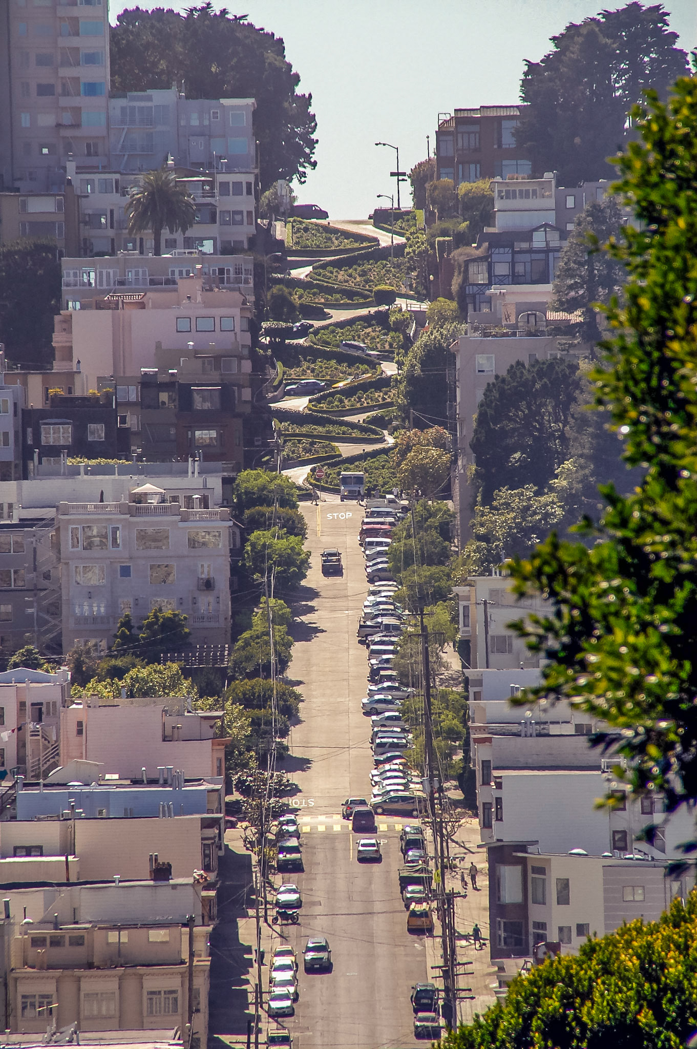 Lombard Street San Francisco