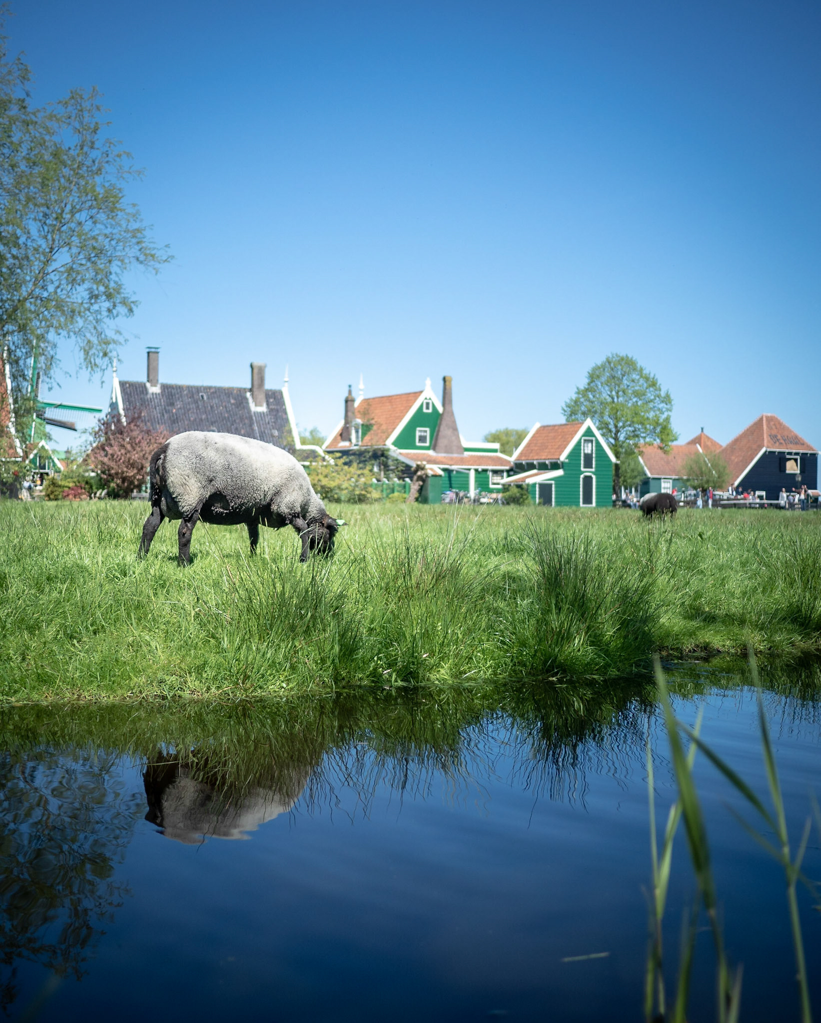 Zaanse Schans