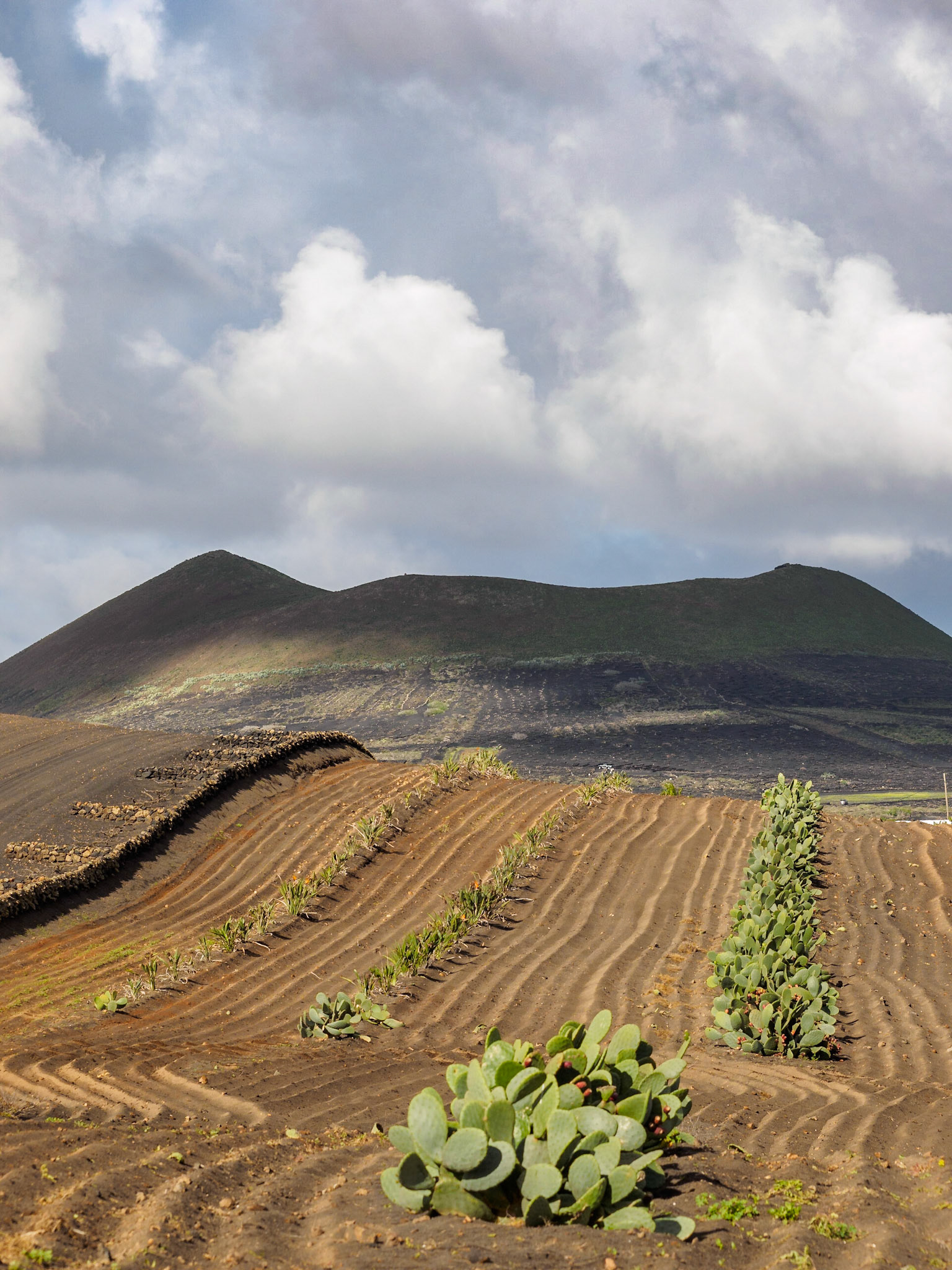 Landwirtschaft bei San Bartolomé