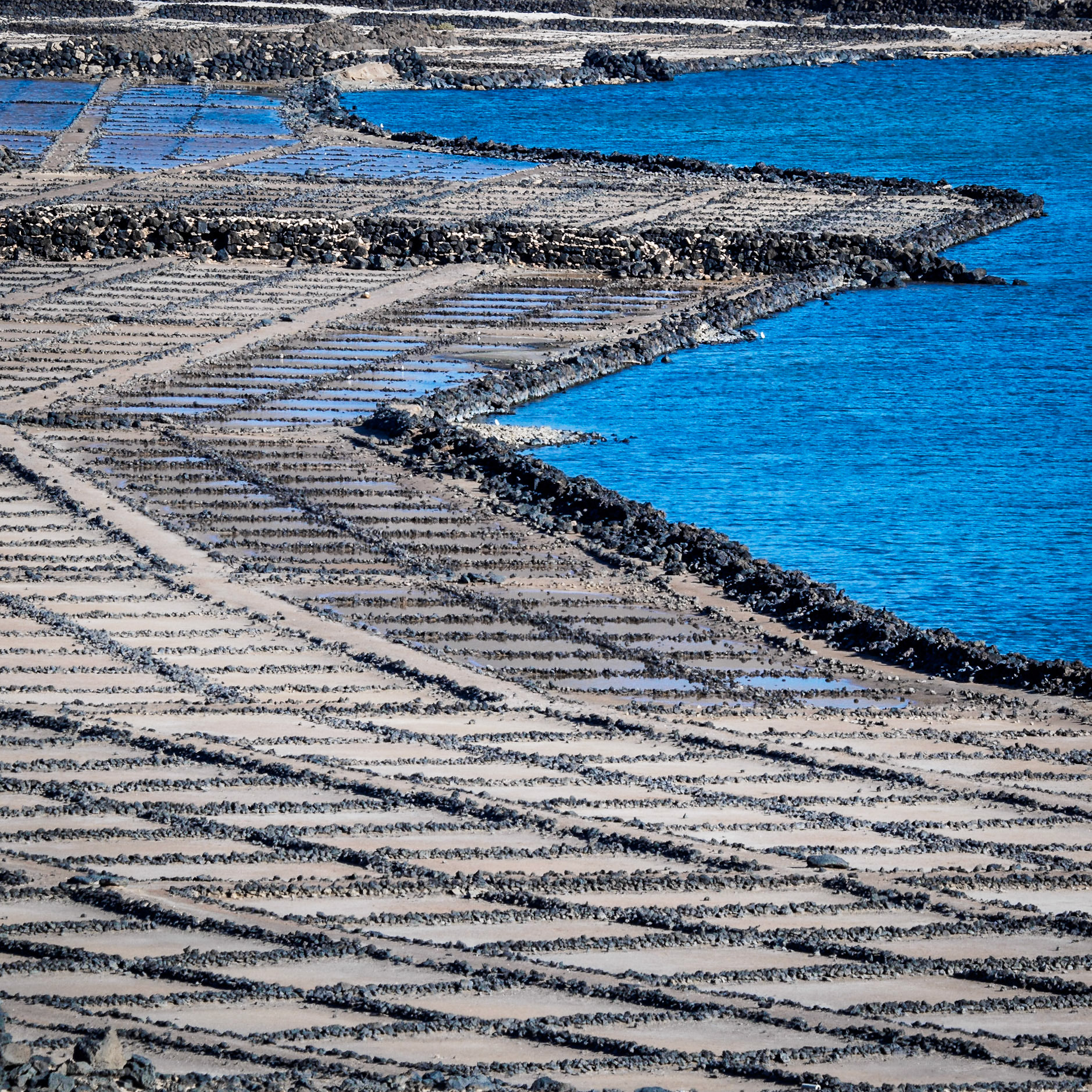 Salinas de Janubio