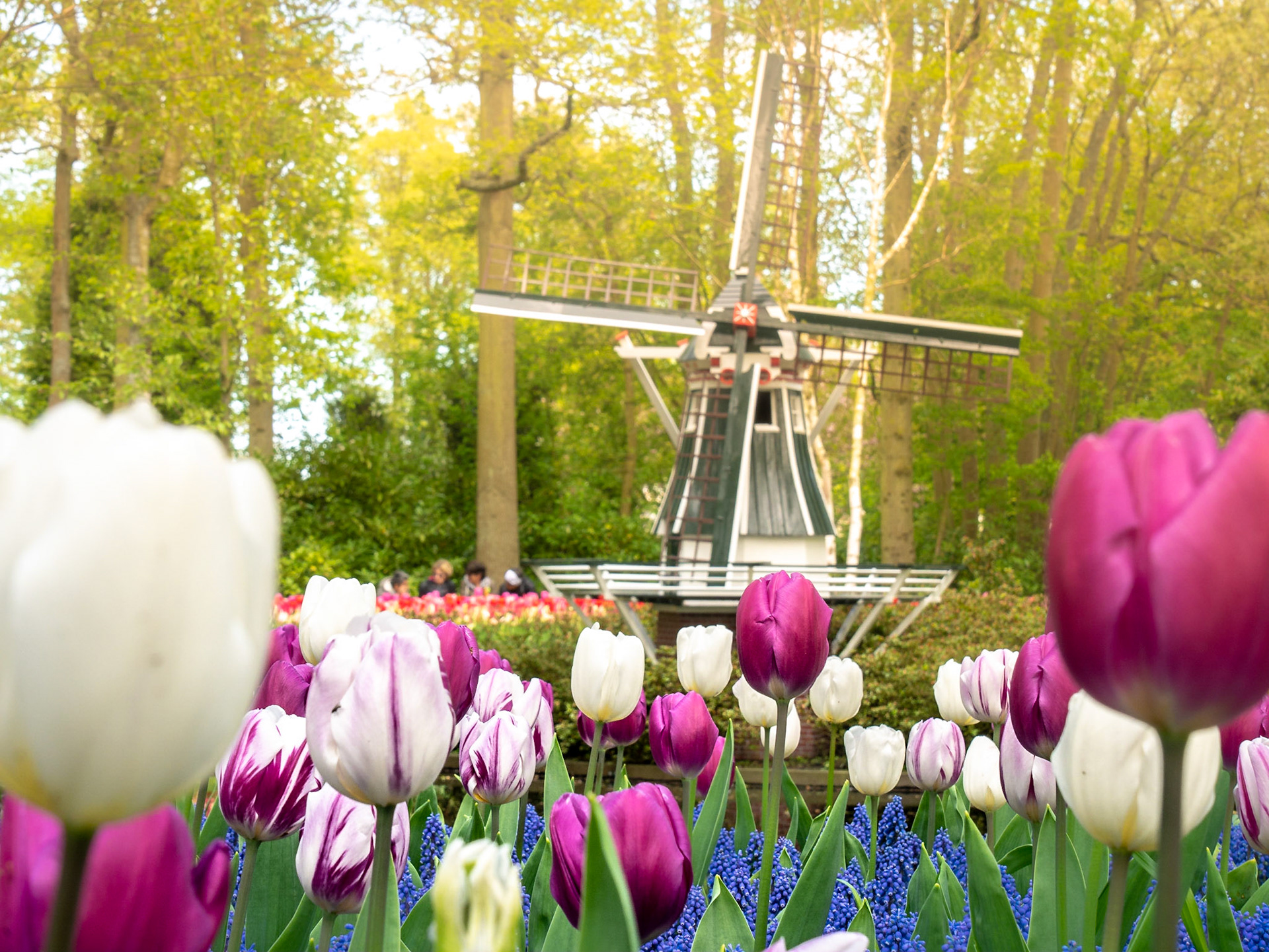 Keukenhof