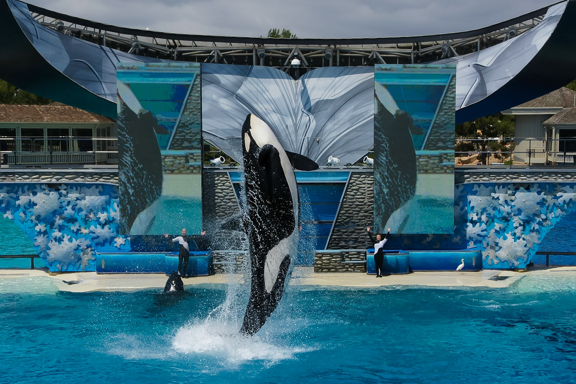 Sea World San Diego