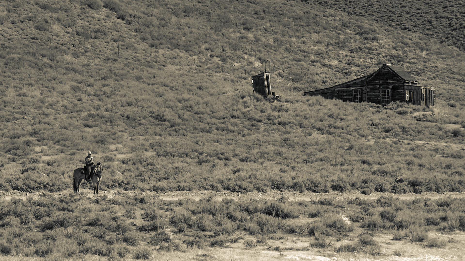 Ein Reiter in Bodie