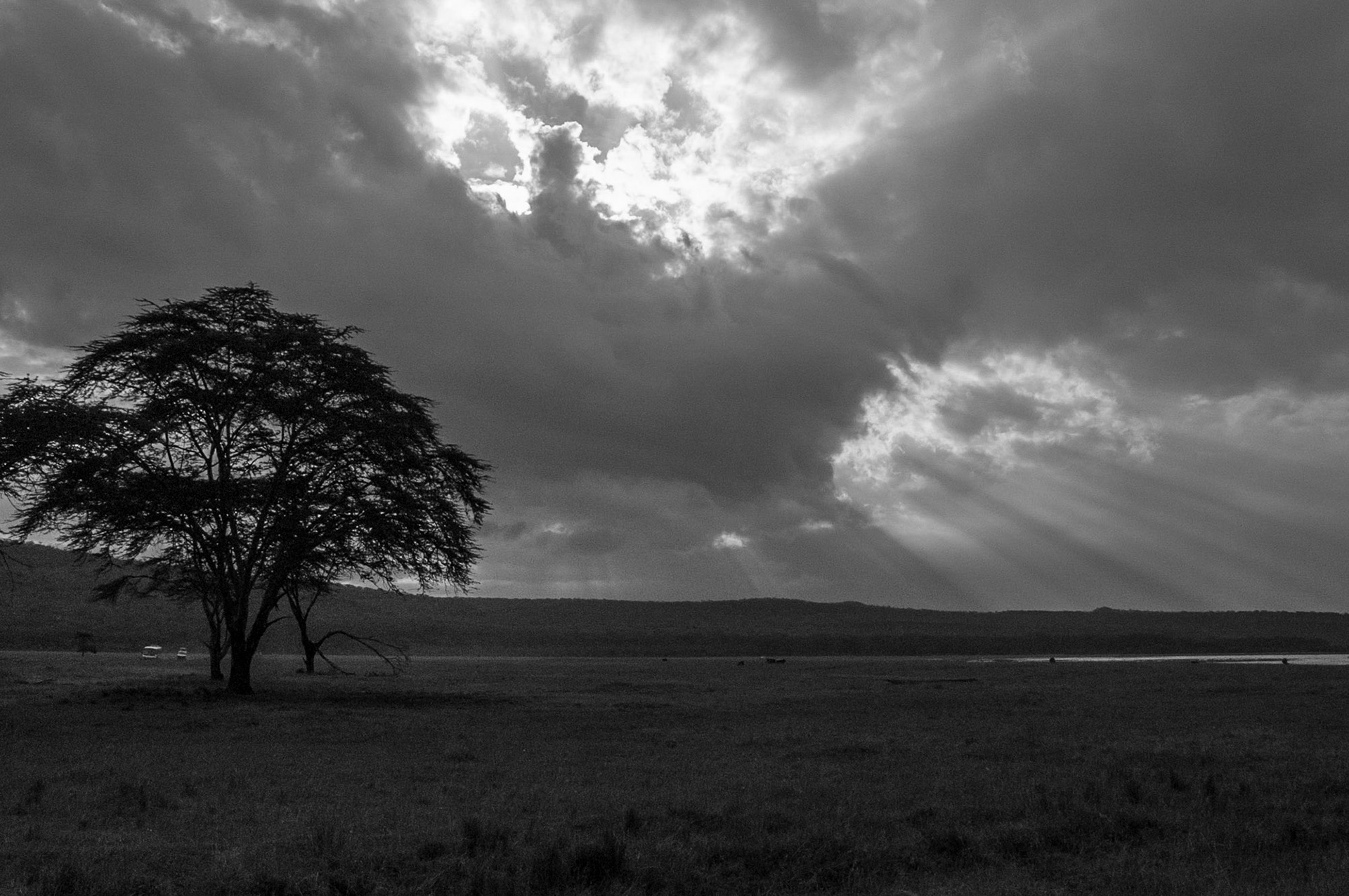 Abendsonne am Lake Nakuru