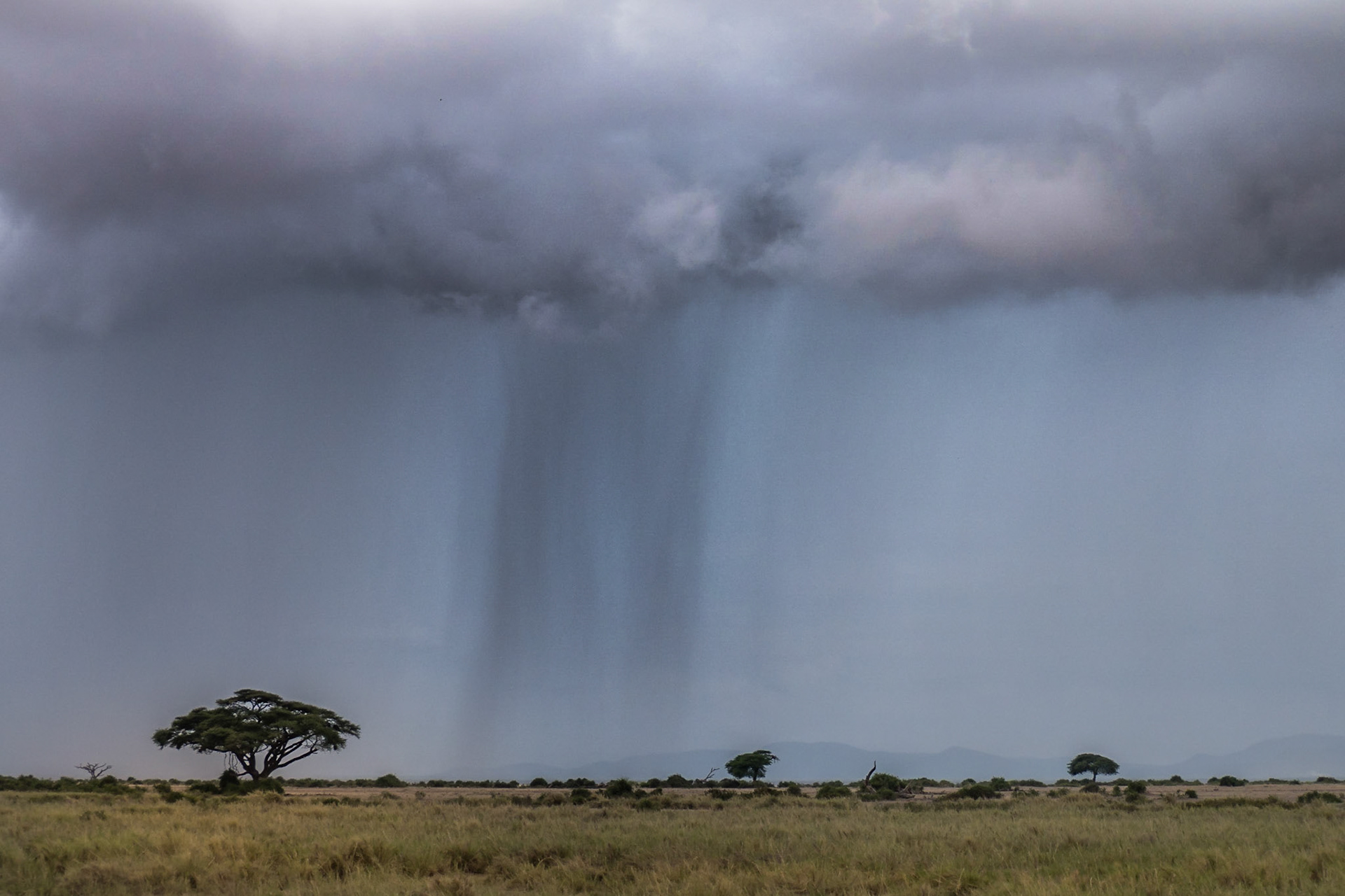 Regen über Amboseli