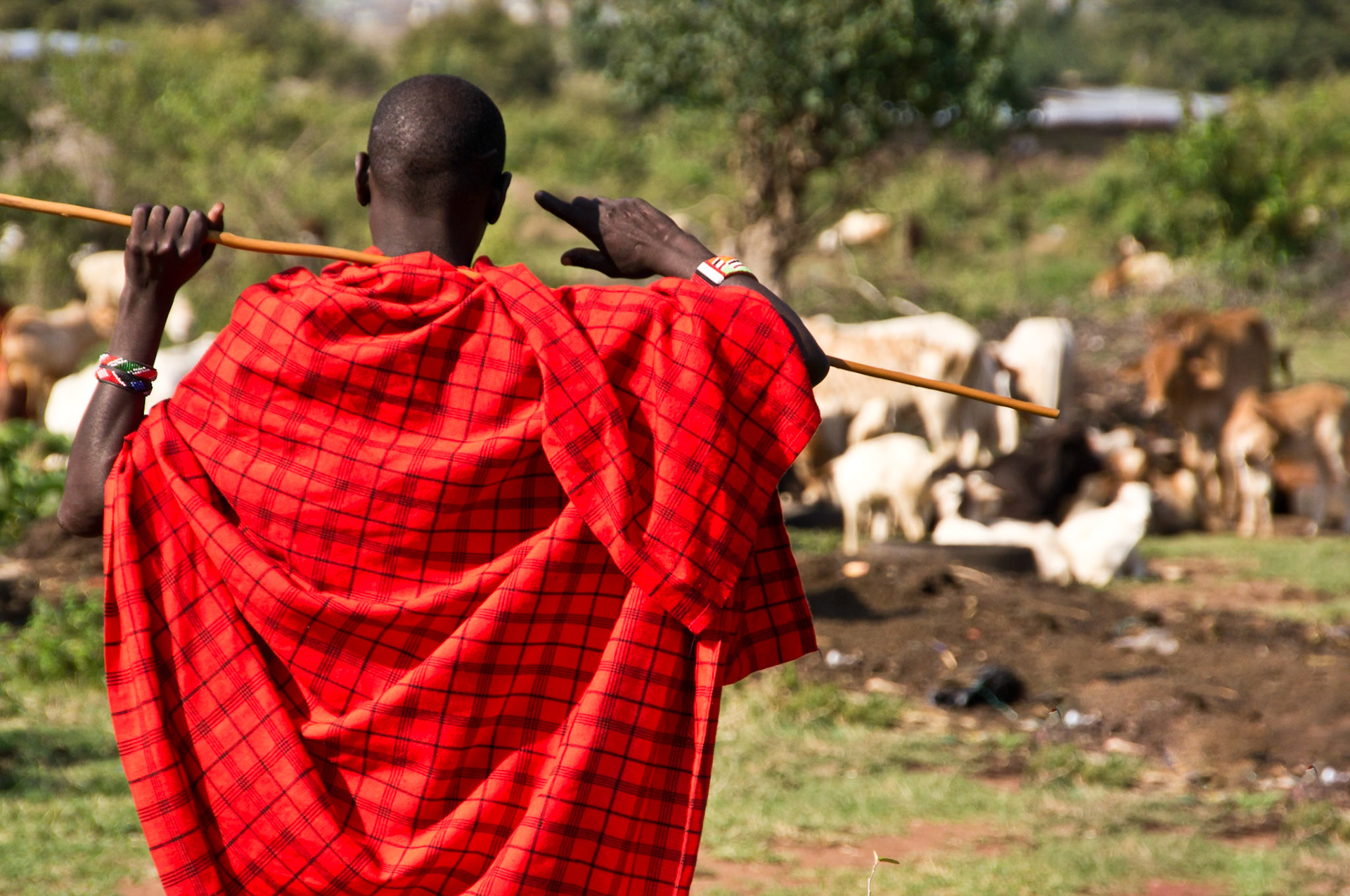 Masai