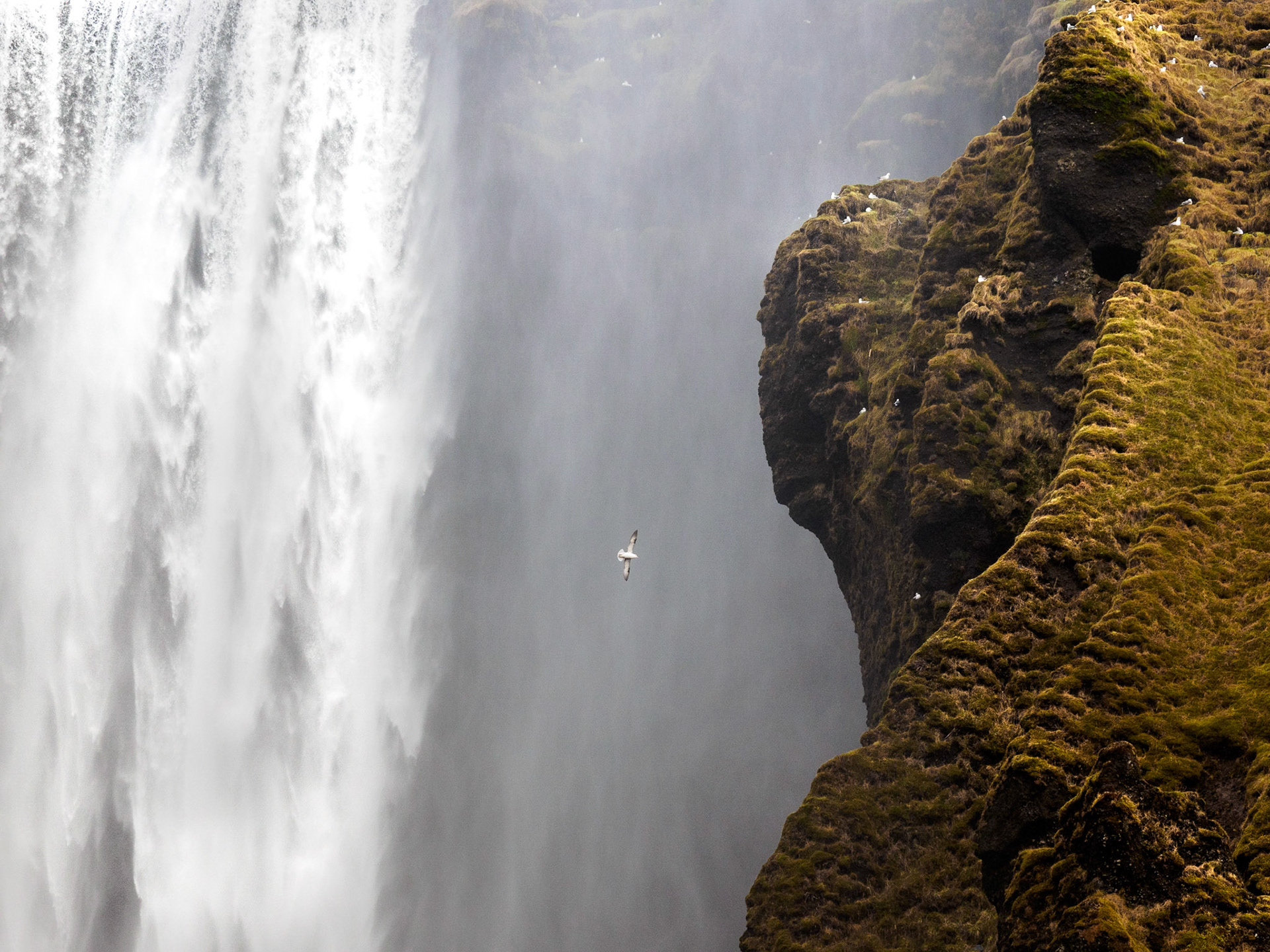 Skógafoss, Island