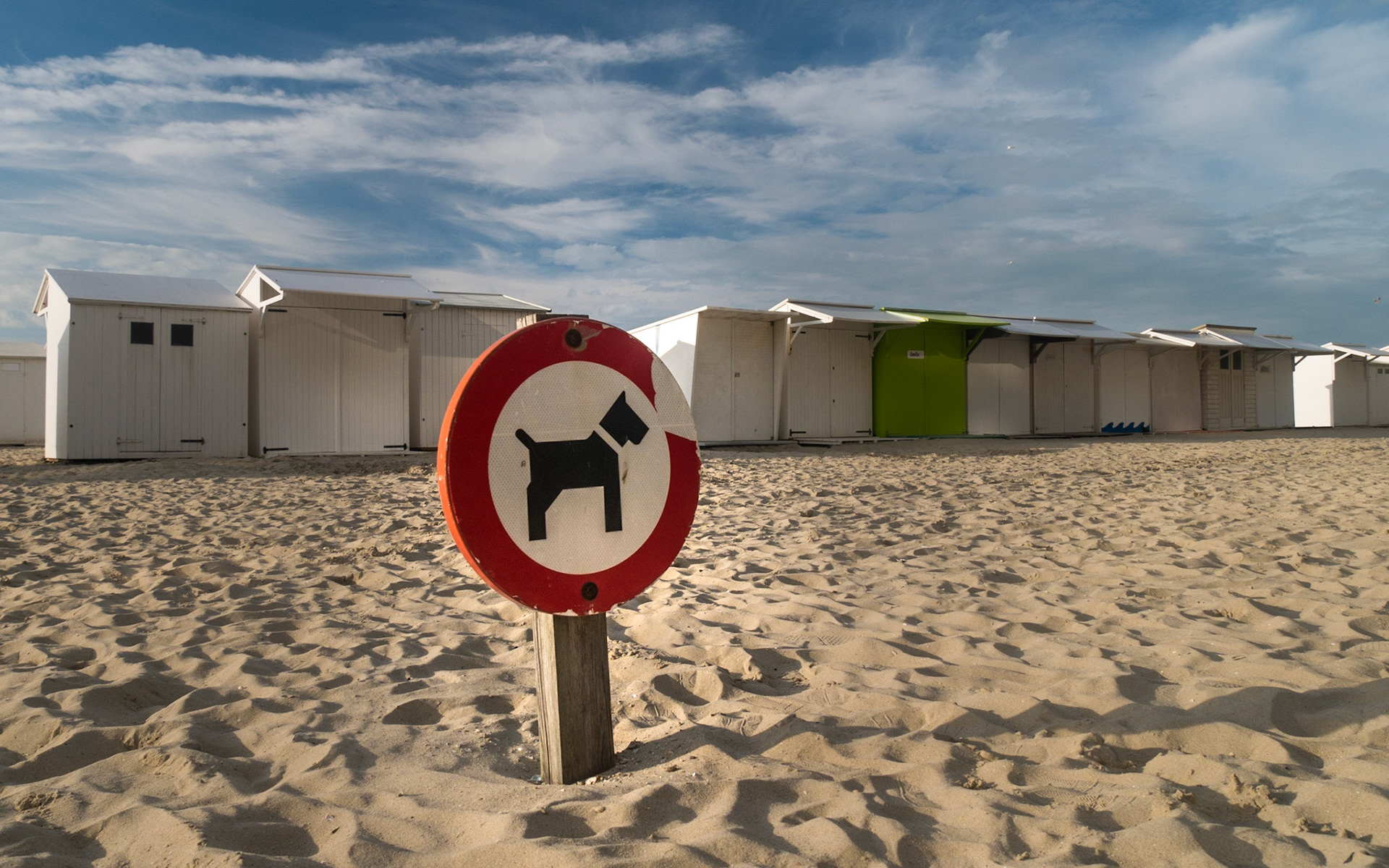 Hundeverbot am Strand von Blankenberge