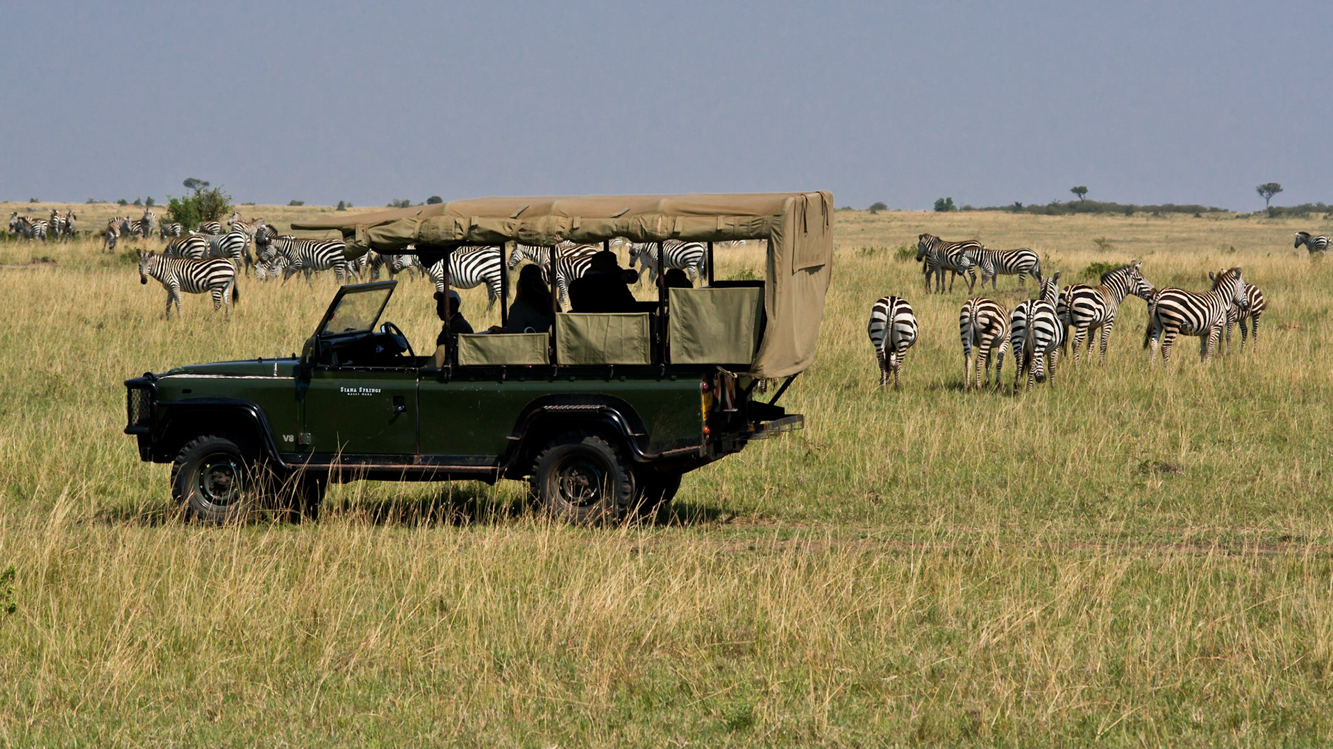 Auf Safari