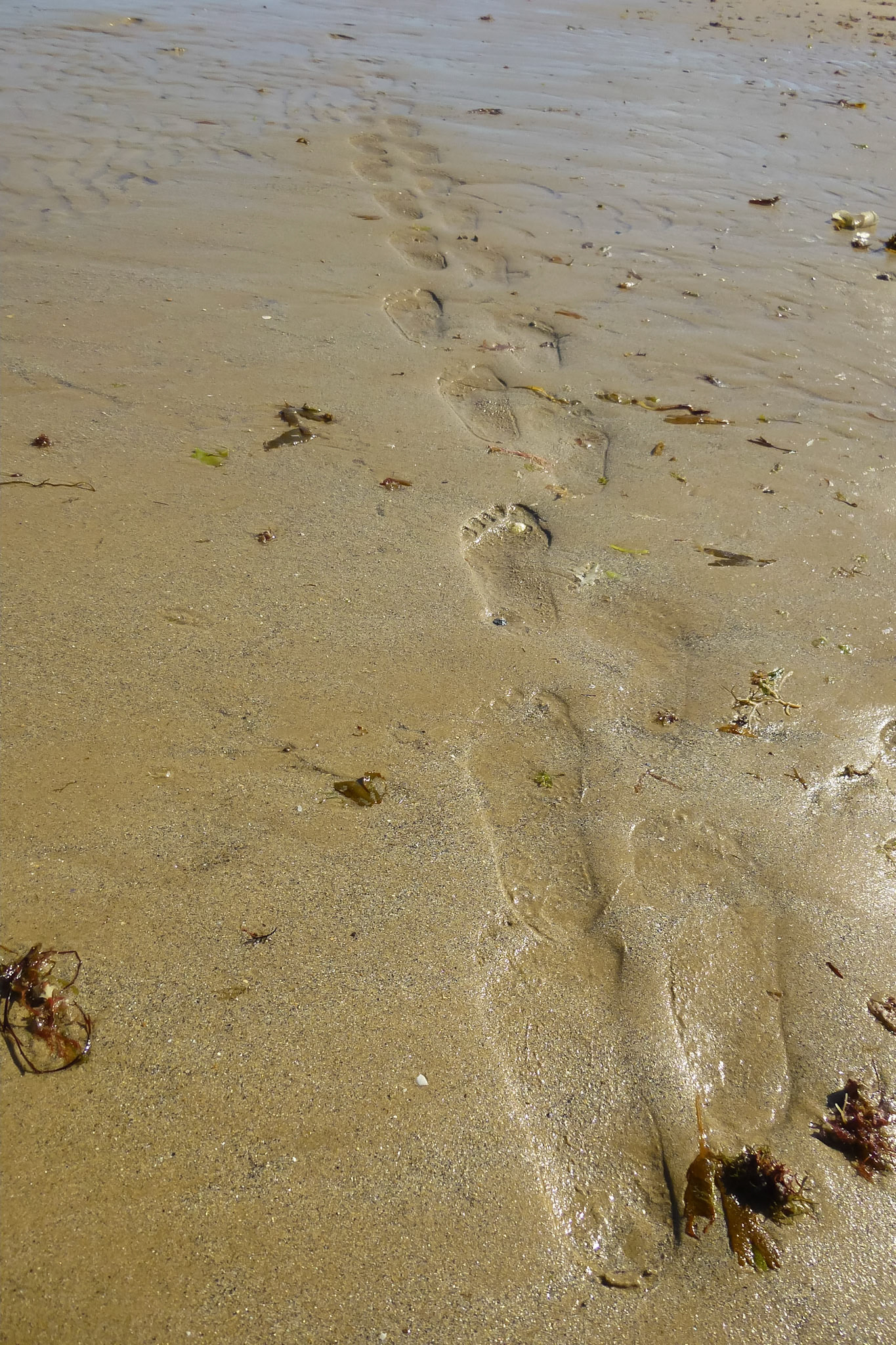 Deine Spuren im Sand