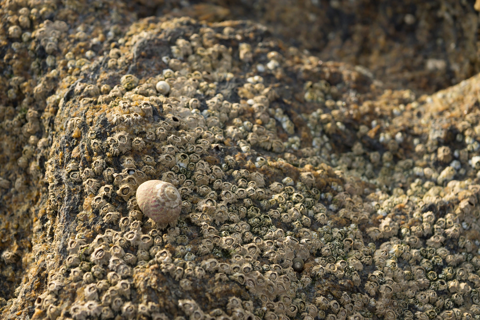 Strand von Saint Malo