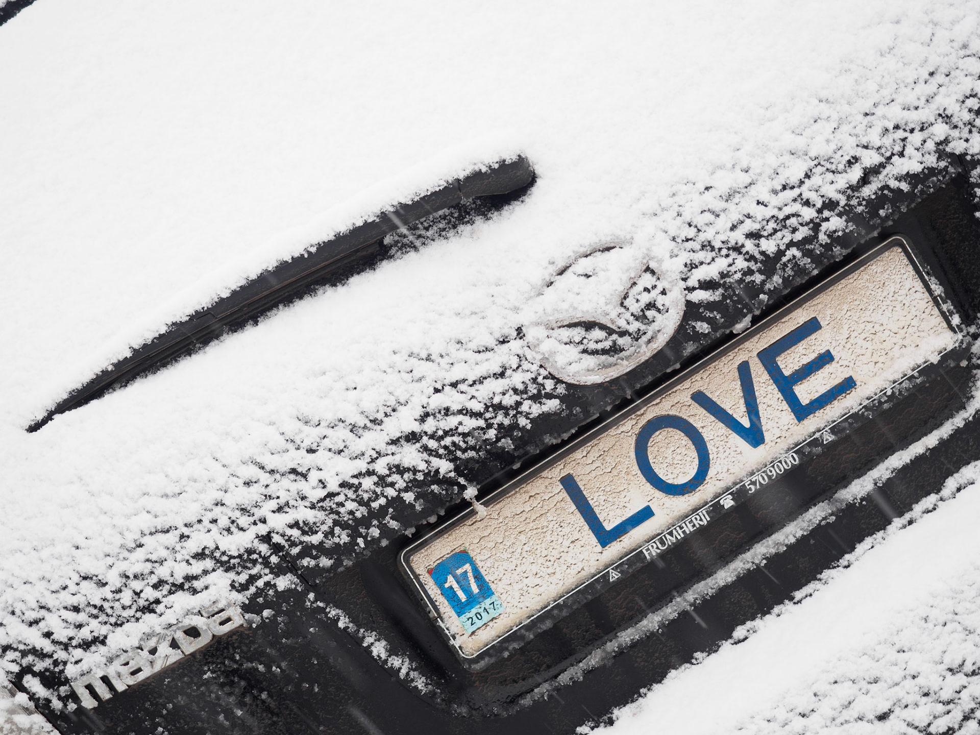 Love
