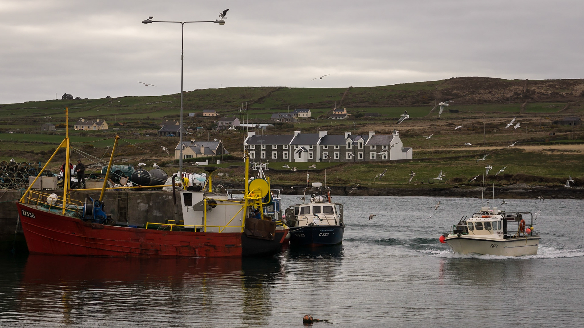 Hafen von Portmagee