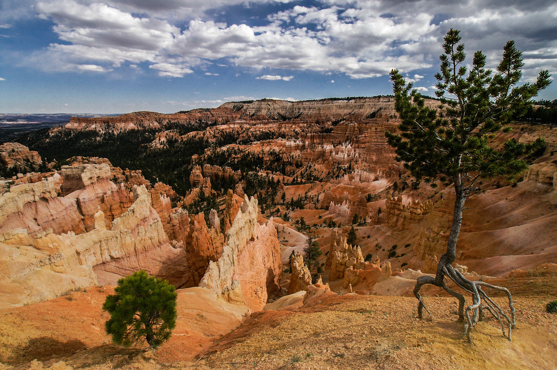 Blick ins Tal des Bryce Canyon