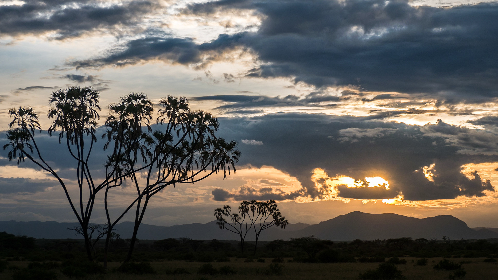 Sonnenuntergang in Samburu