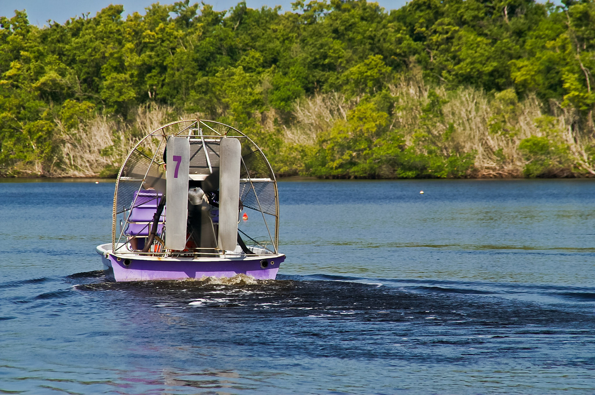 Everglades