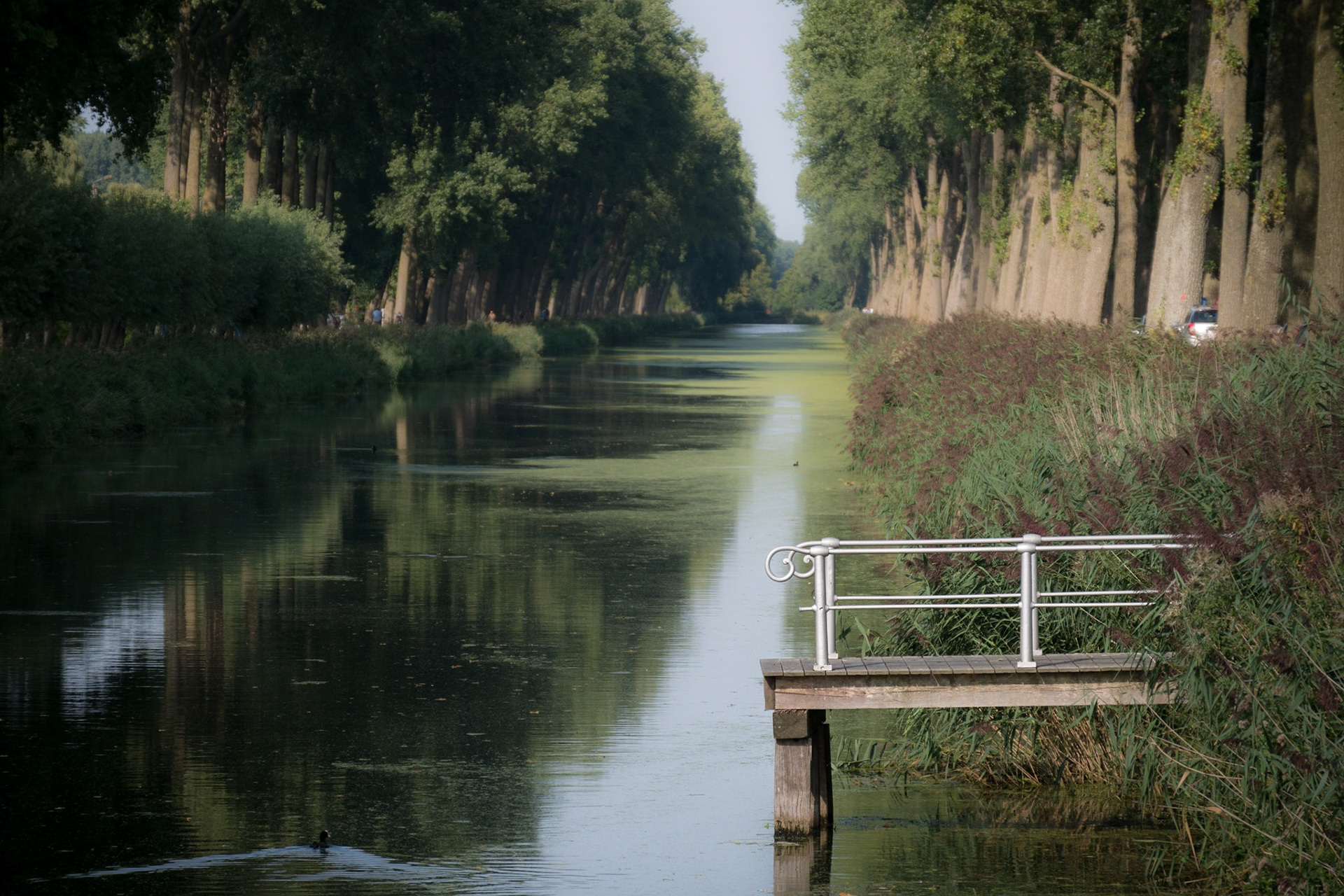 Kanal zwischen Brügge und Damme