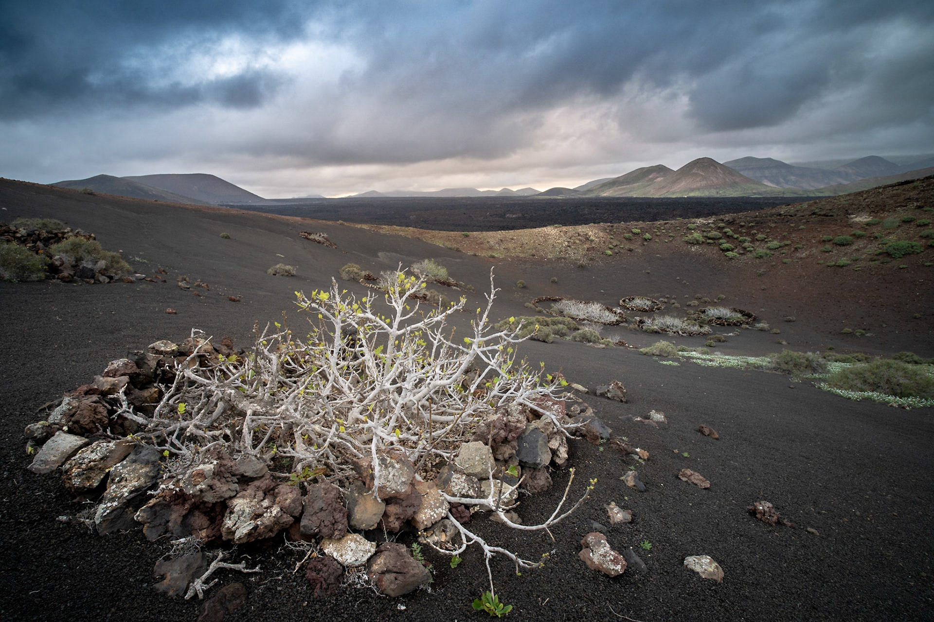 Timanfaya