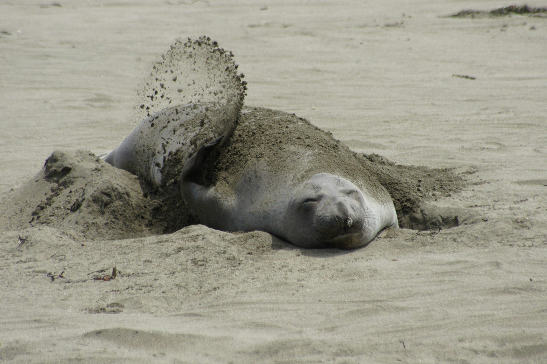 Relaxen am Strand