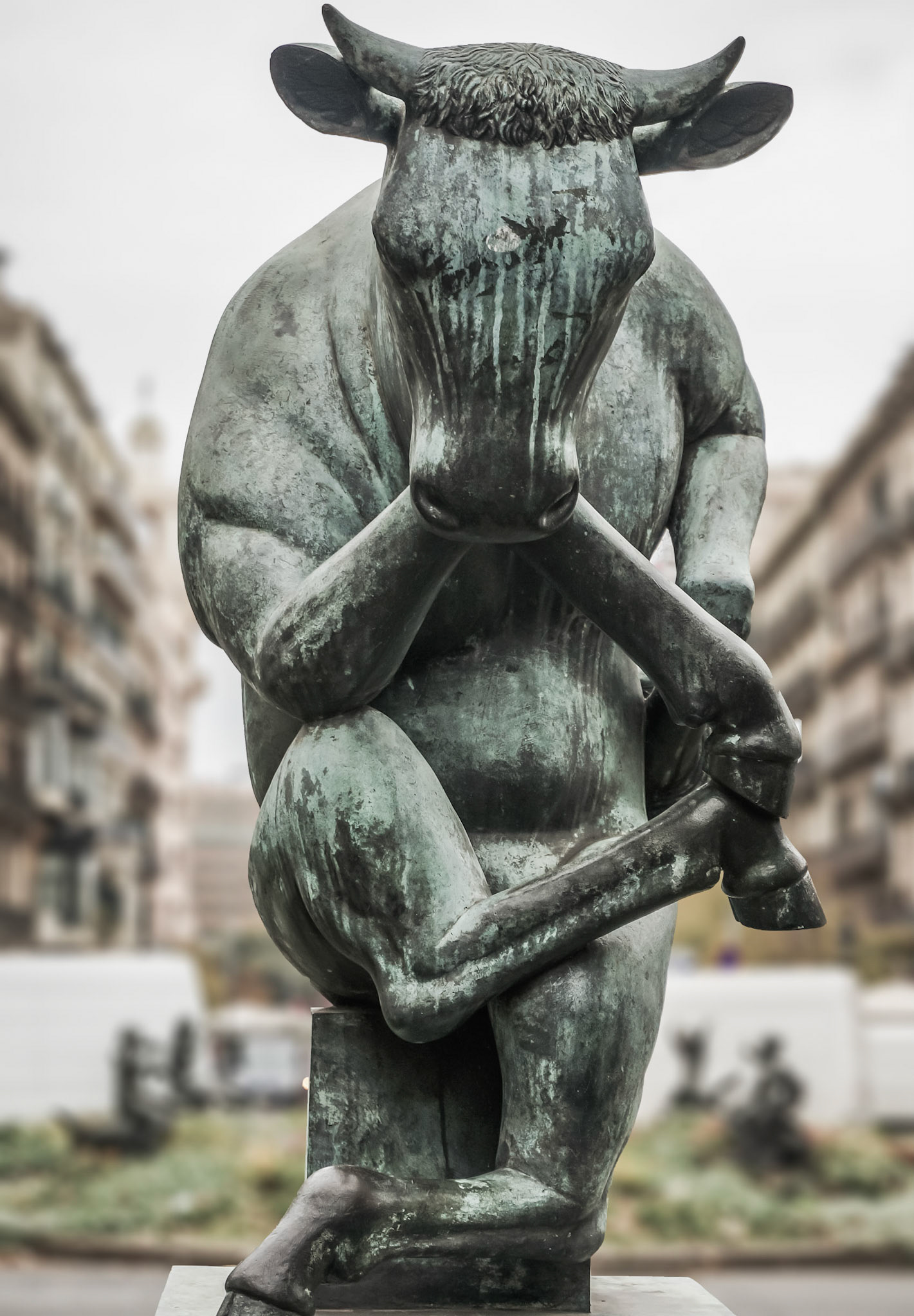 Stier in Barcelona