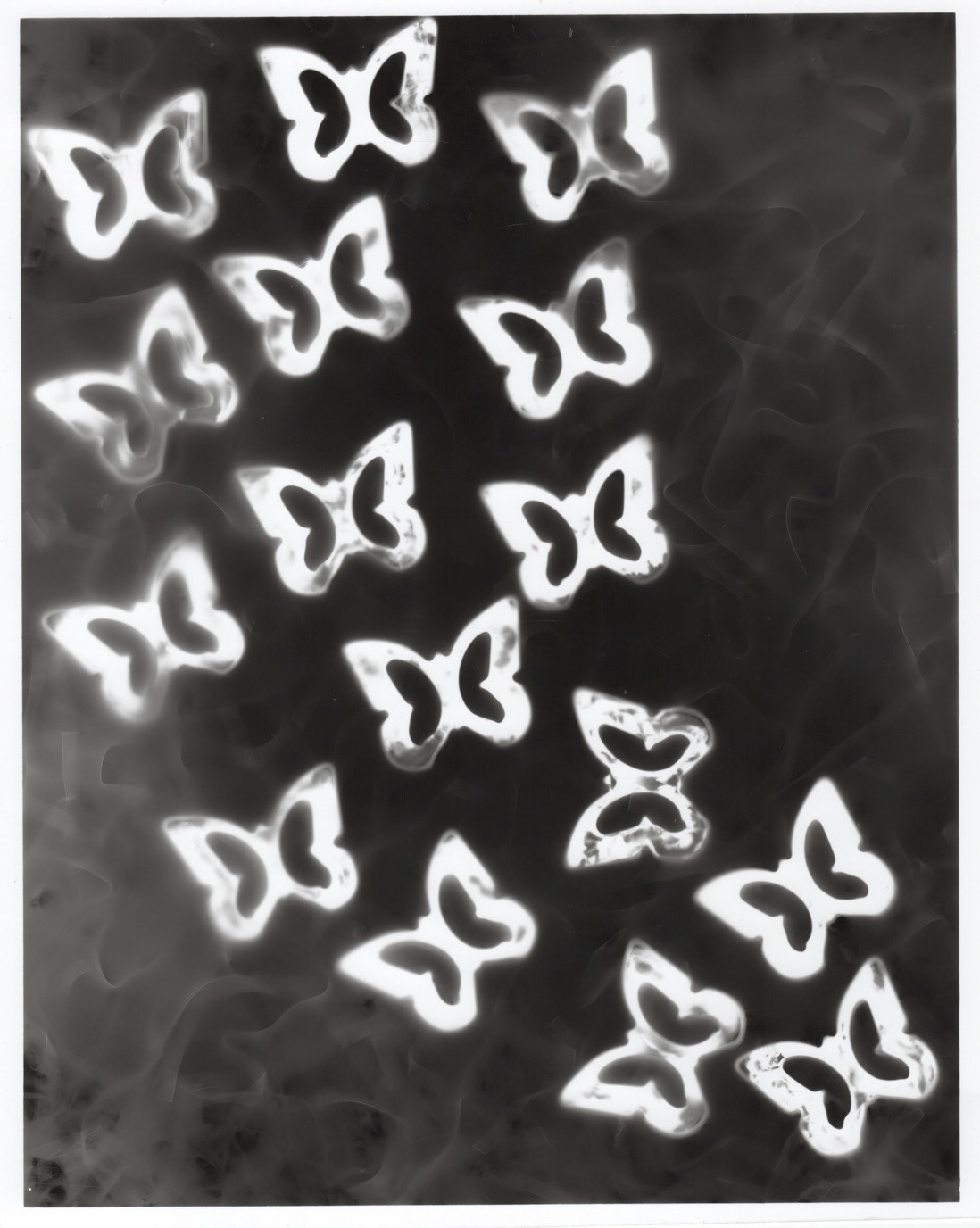 Photograph by Artist Name