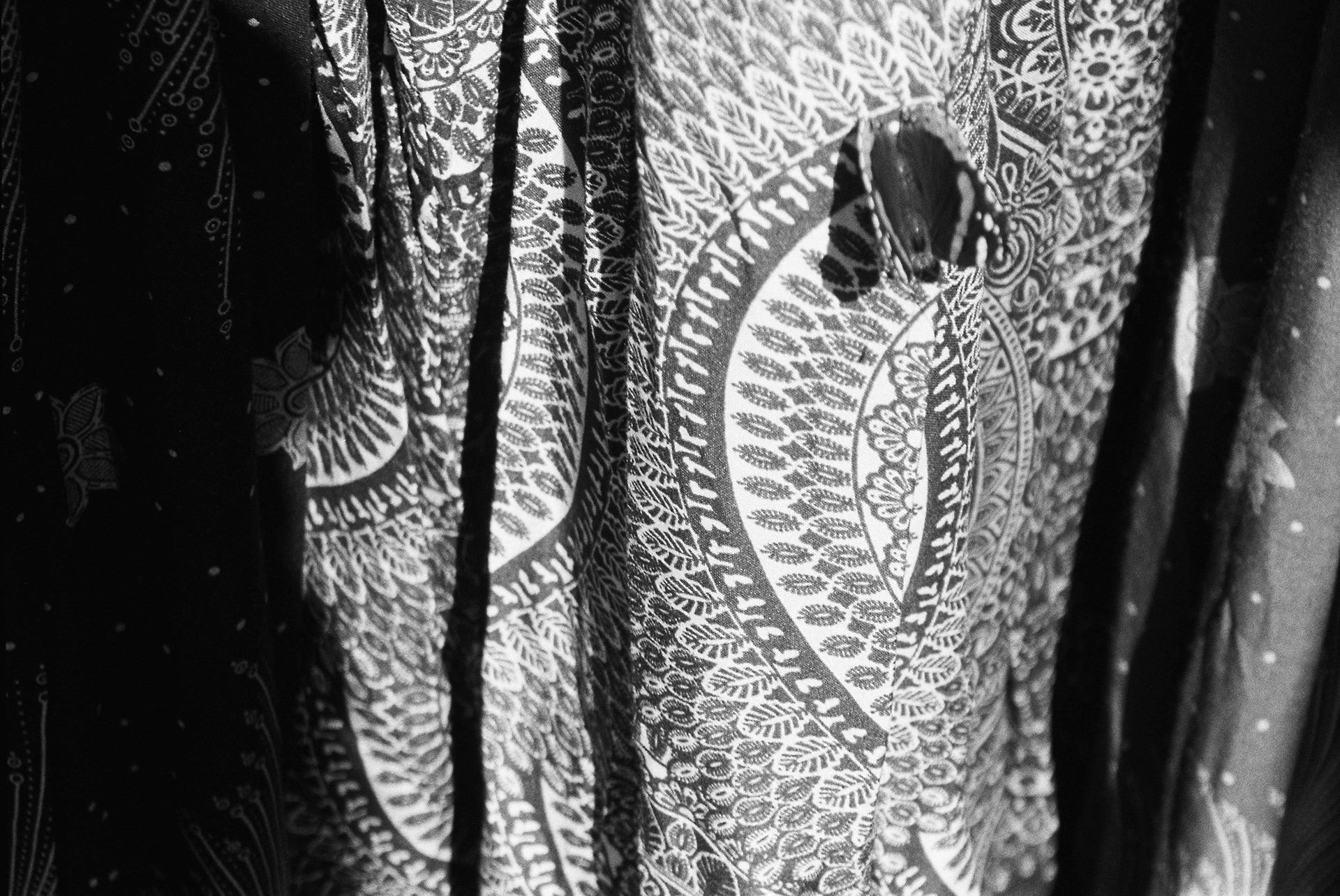 Photograph by d4wg.t00th