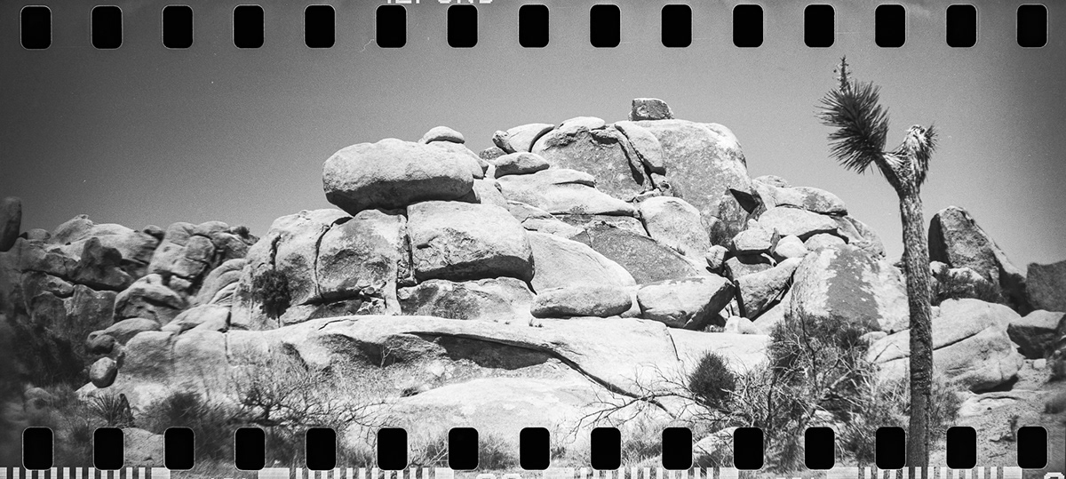 Photograph by Artist Name