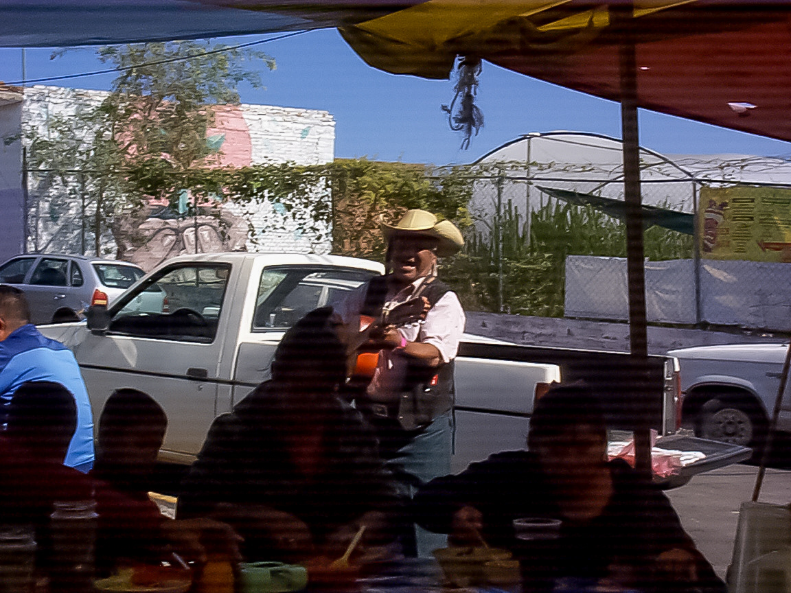 Live music at the tianguis