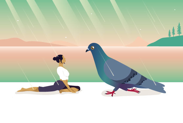 Progetto yoga e gli animali