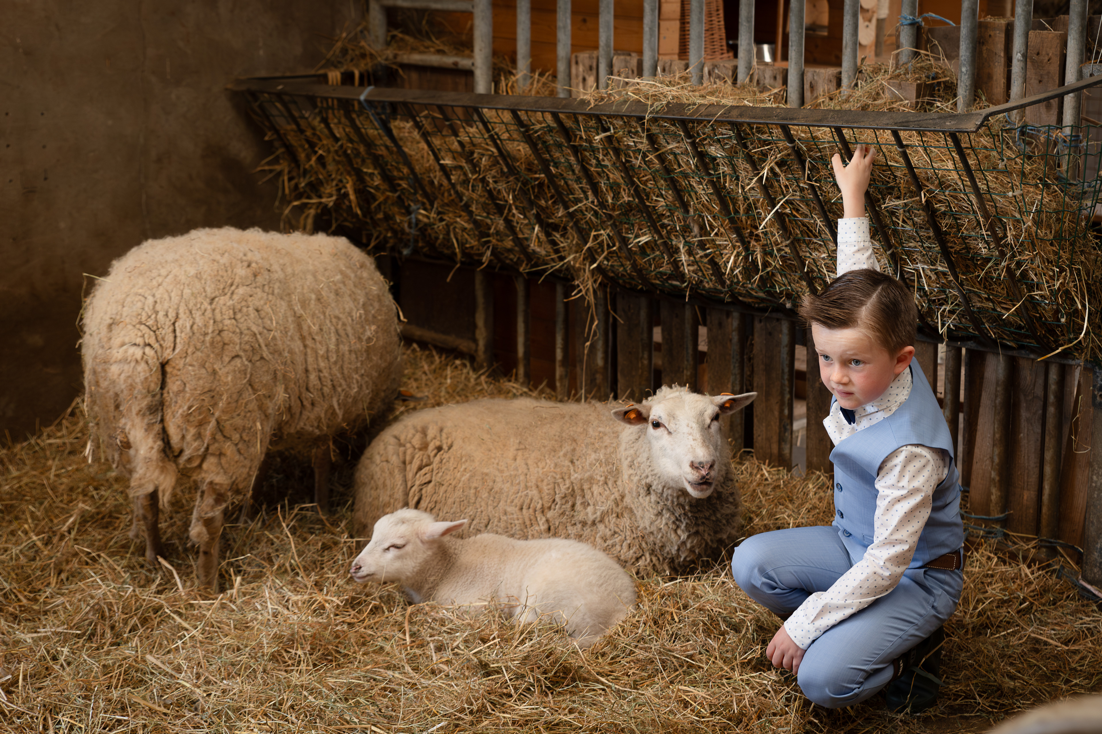 Kinderboerderij Deerlijk