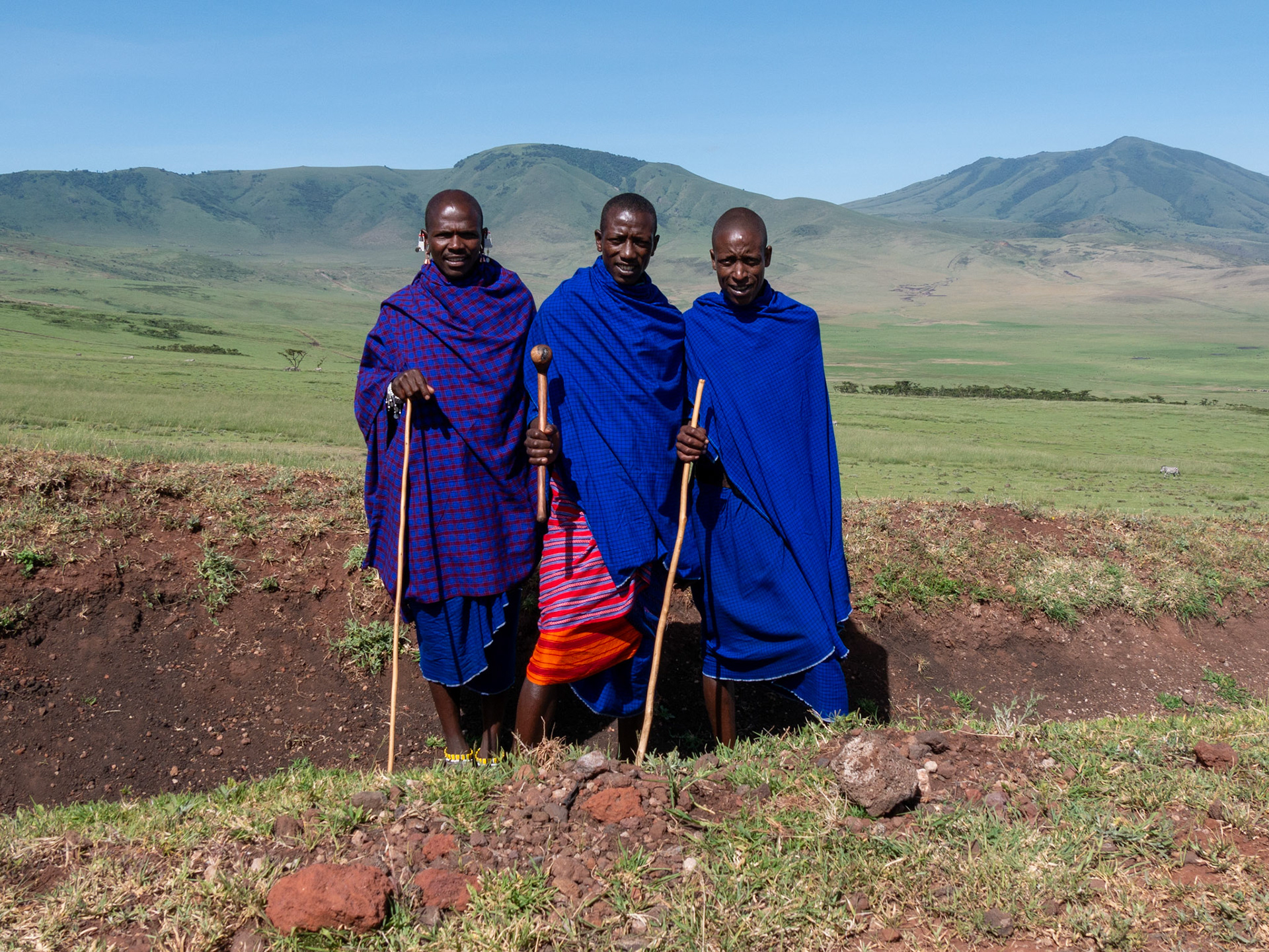 SAFARI_10_286_a